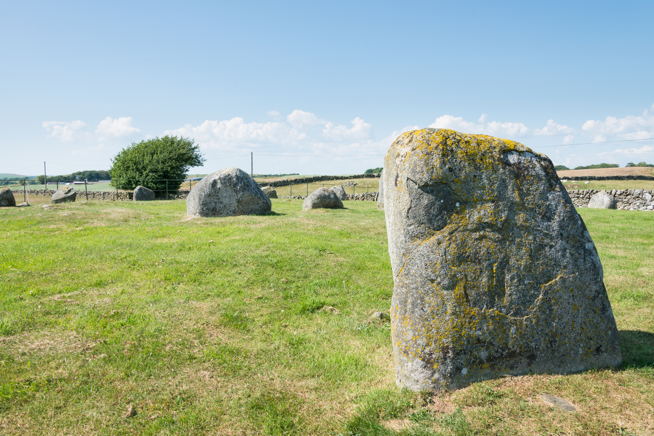 Large granite stones of Torhouse Stone Circle standing in grassy field under a bright blue sky