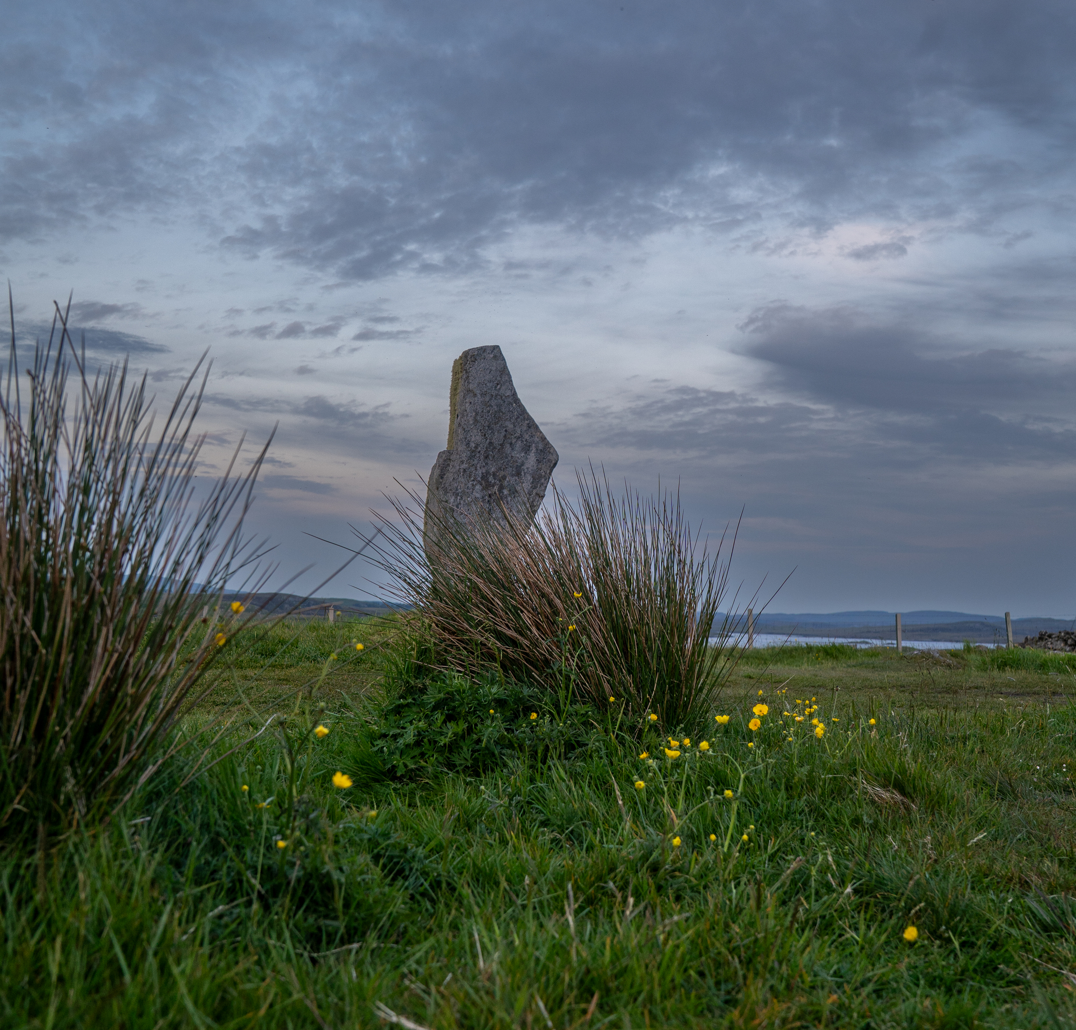 Standing stone at Calanais surrounded by wildflowers with a glowing twilight sky.