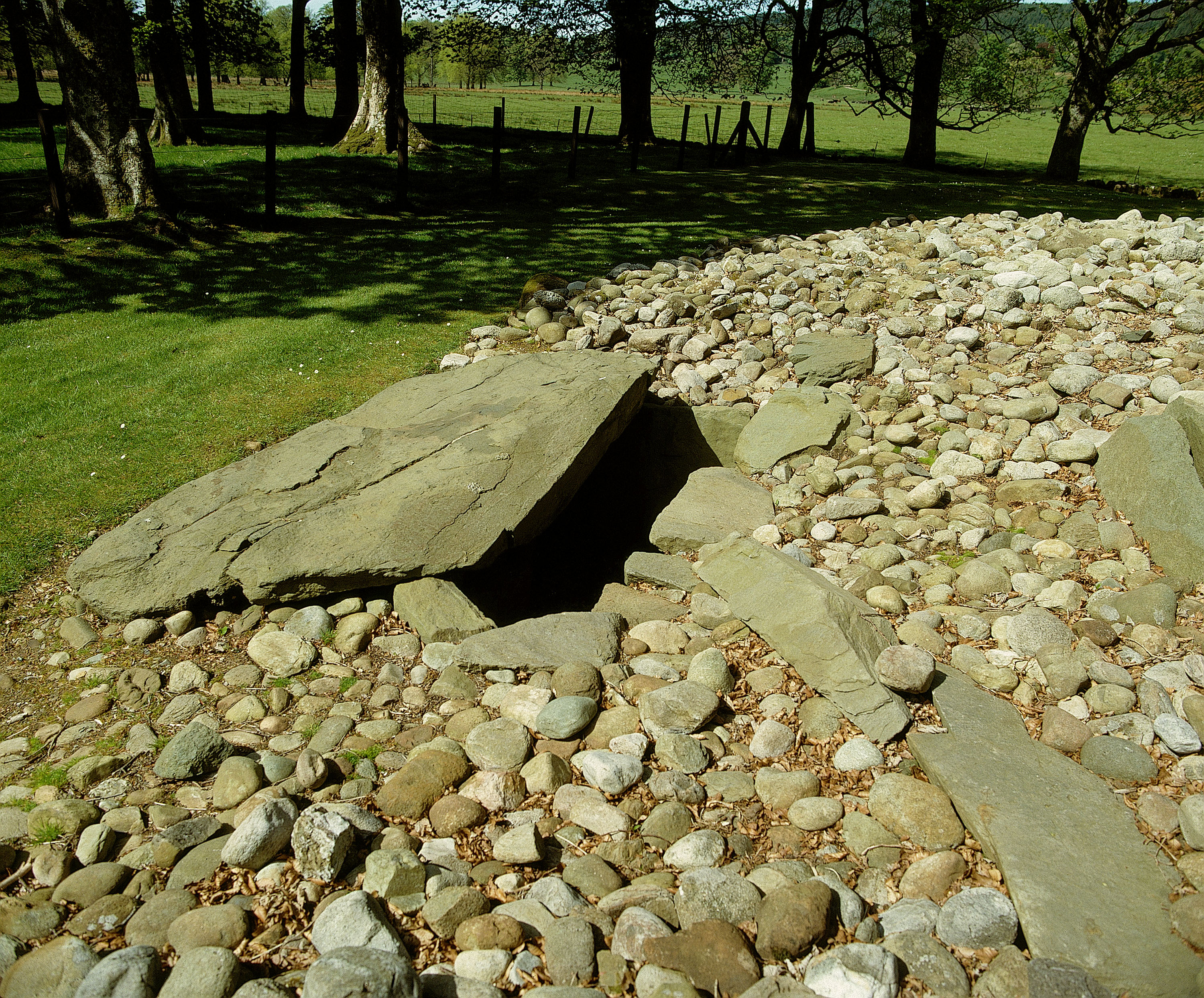 Close‑up view of a stone-lined chamber opening within the Ri Cruin Cairn. A large, flat capstone lies partially shifted to one side, exposing the dark interior of the burial chamber beneath. The surrounding surface of the cairn is made up of small, rounded stones spread across a grassy clearing. Trees and open fields are visible in the background.