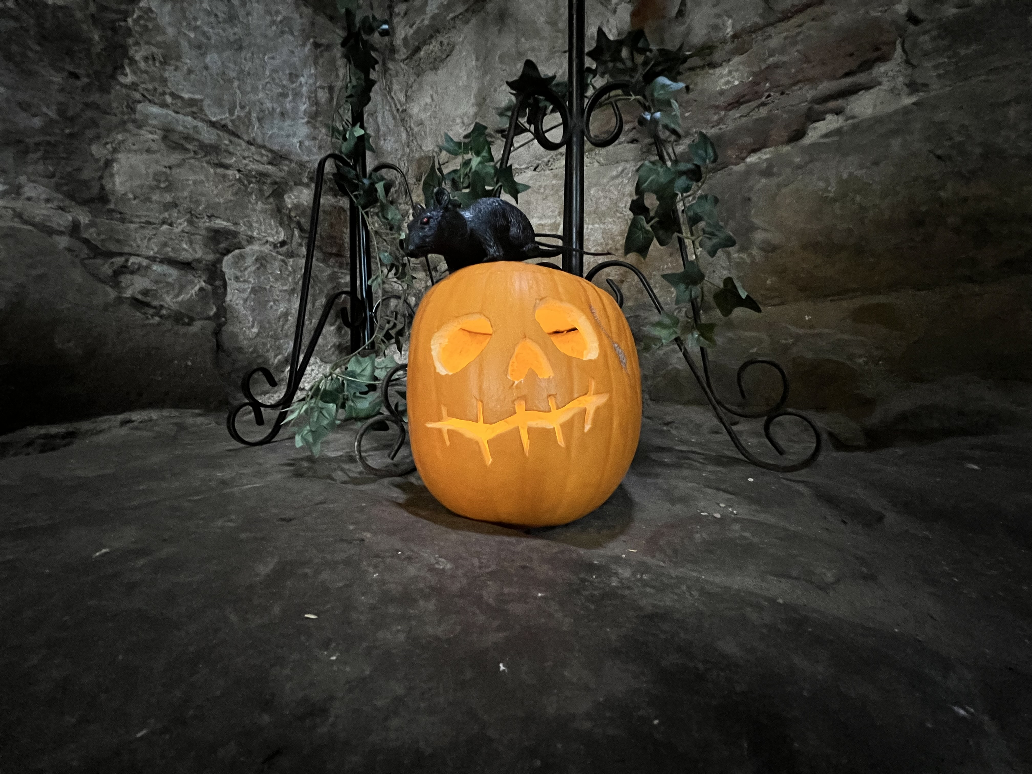 Jack o'lantern with a plastic rat on top of it in the corner of a stone room. 