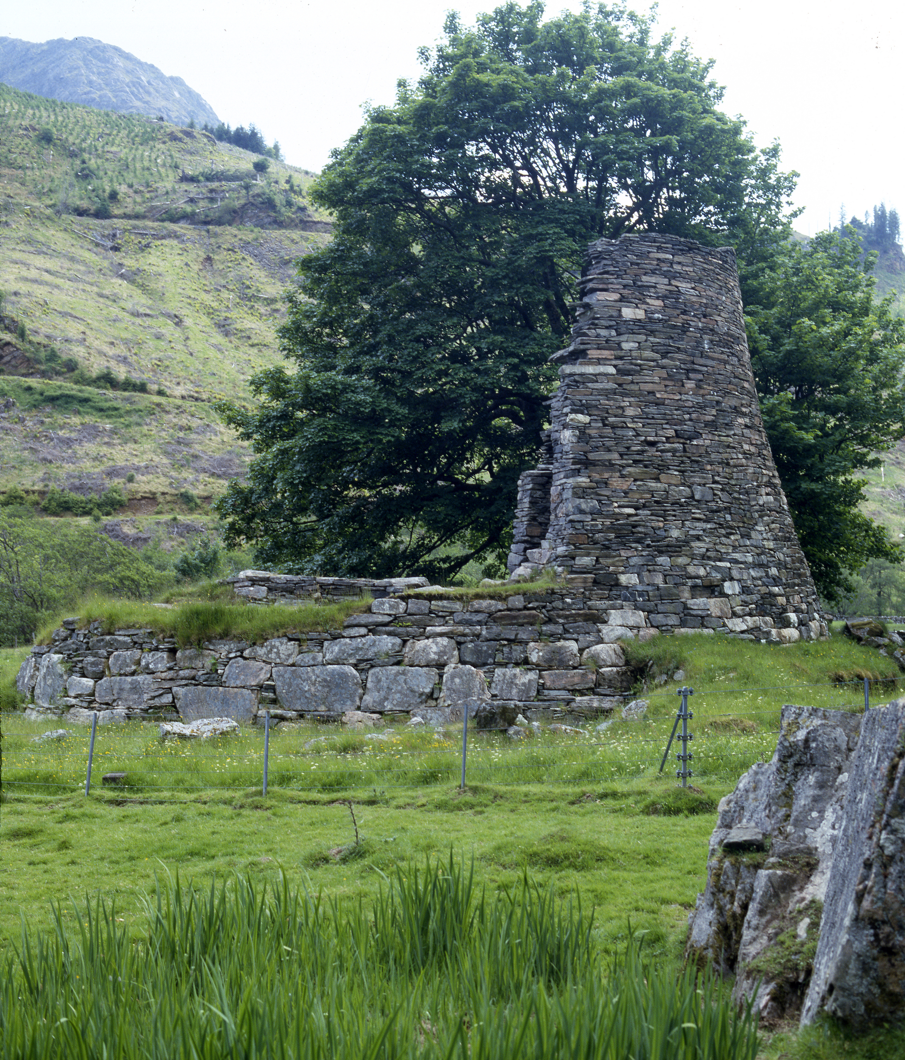 View of Dun Telve broch ruins in Glenelg, showing a tall, tapering section of dry‑stone wall standing beside a large tree, with scattered stone foundations in front and steep green hills rising in the background.