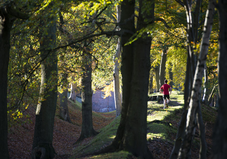 A jogger runs along the Antonine Wall in the sunshine