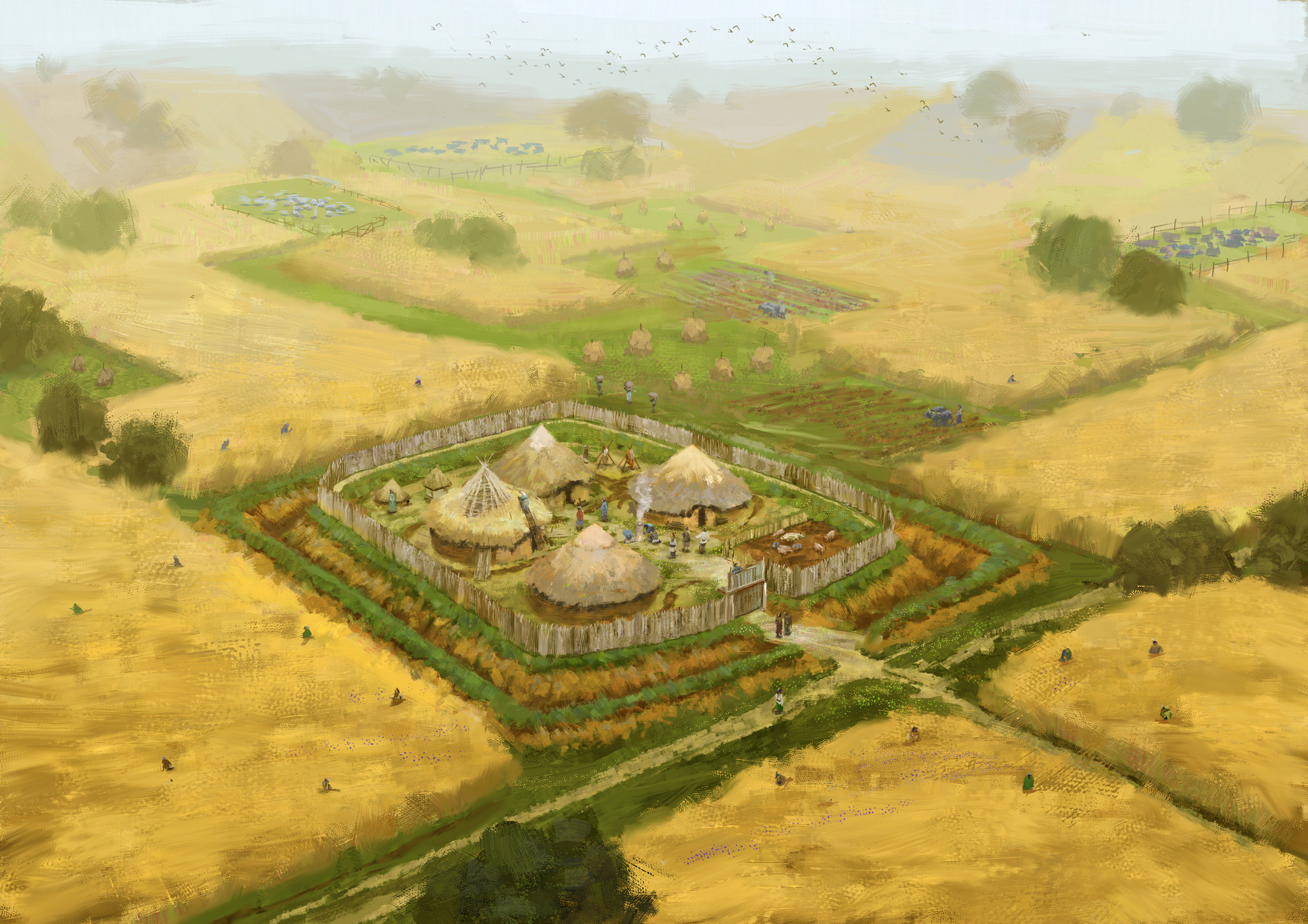 An artist's impression of how Rispain Camp may have once looked. A village consisting of round wooden and straw houses is enclosed by earthworks, fences and ditches. Surrounding farmland is abundant with crops and corn.