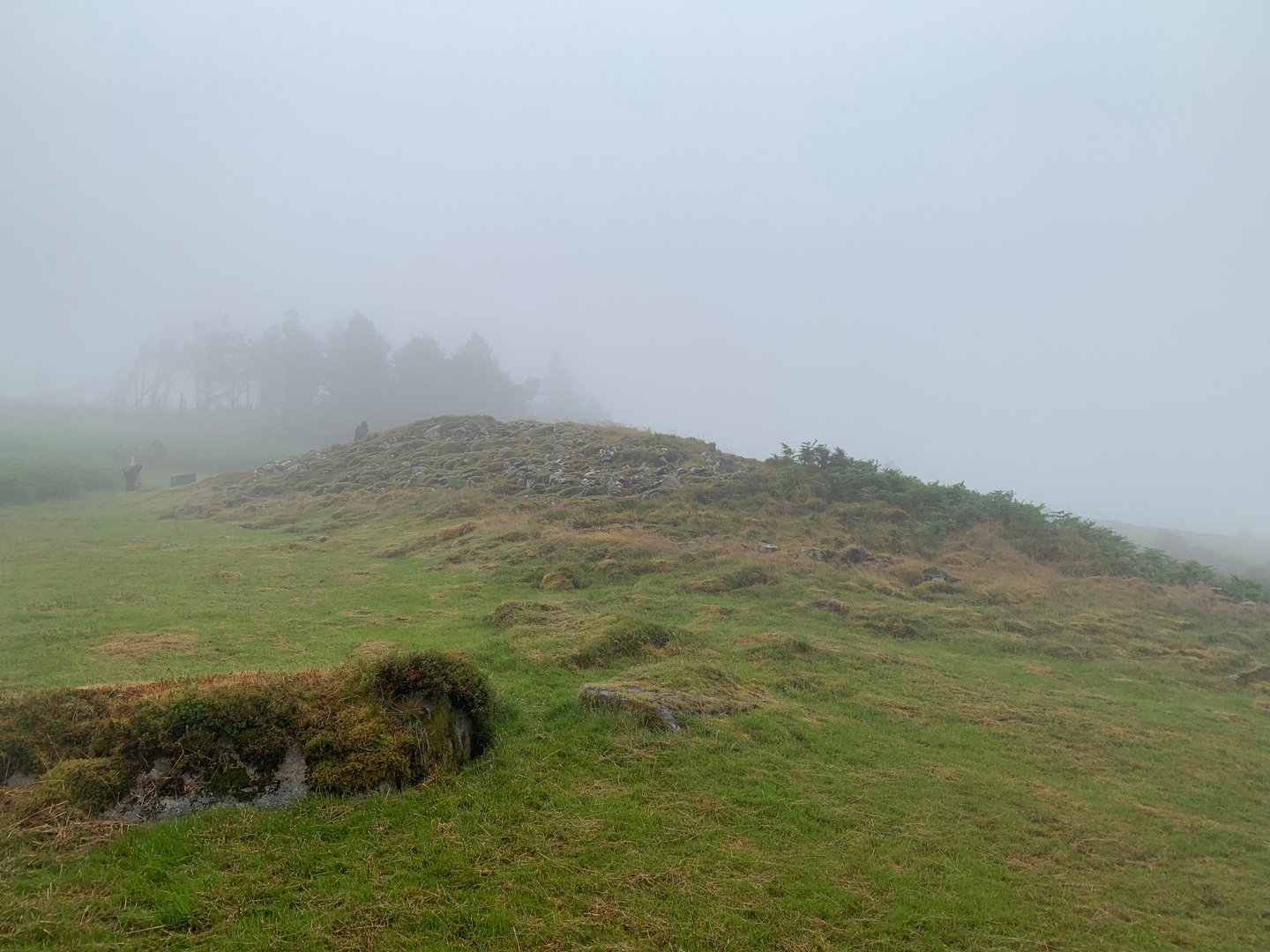 Top of a grassy hill, you can't see much beyond the hill due to fog.
