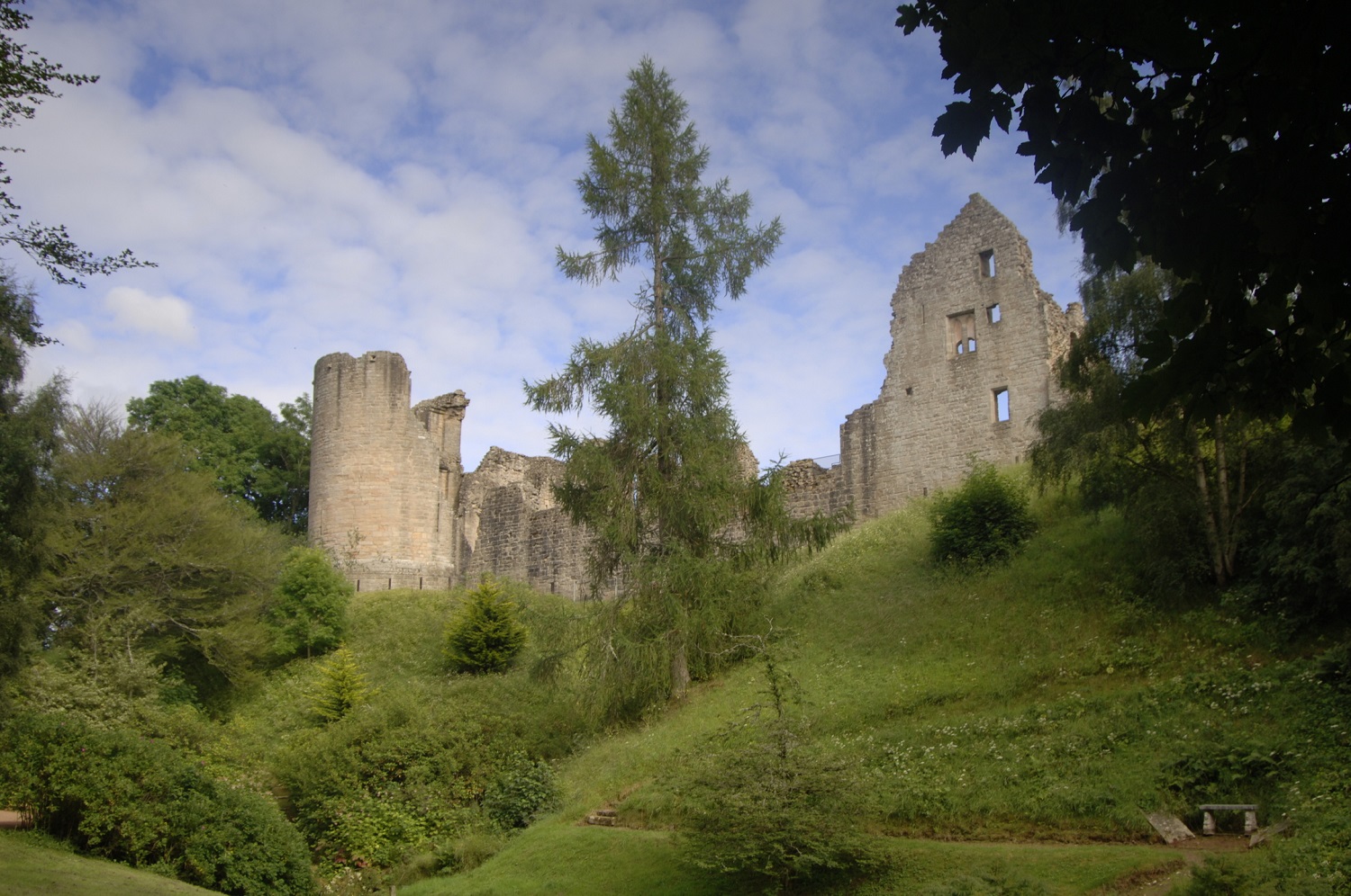 View of a ruined stone castle standing on a grassy slope, surrounded by lush green trees. A tall, narrow tower rises on the left, while a partially collapsed wall with window openings stands on the right.