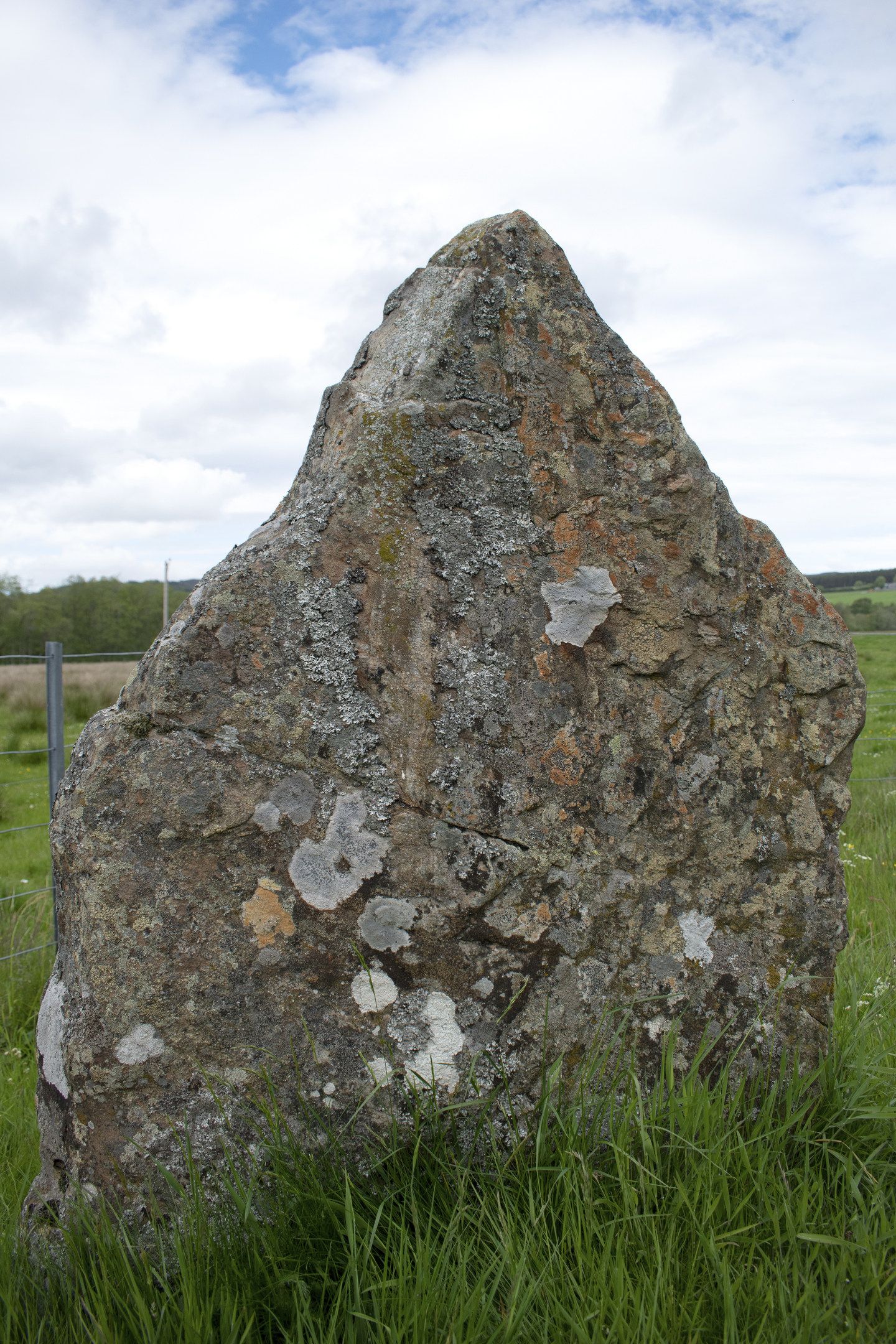 Single large triangular standing stone covered in moss and lichens, standing in tall grass against an open rural landscape.