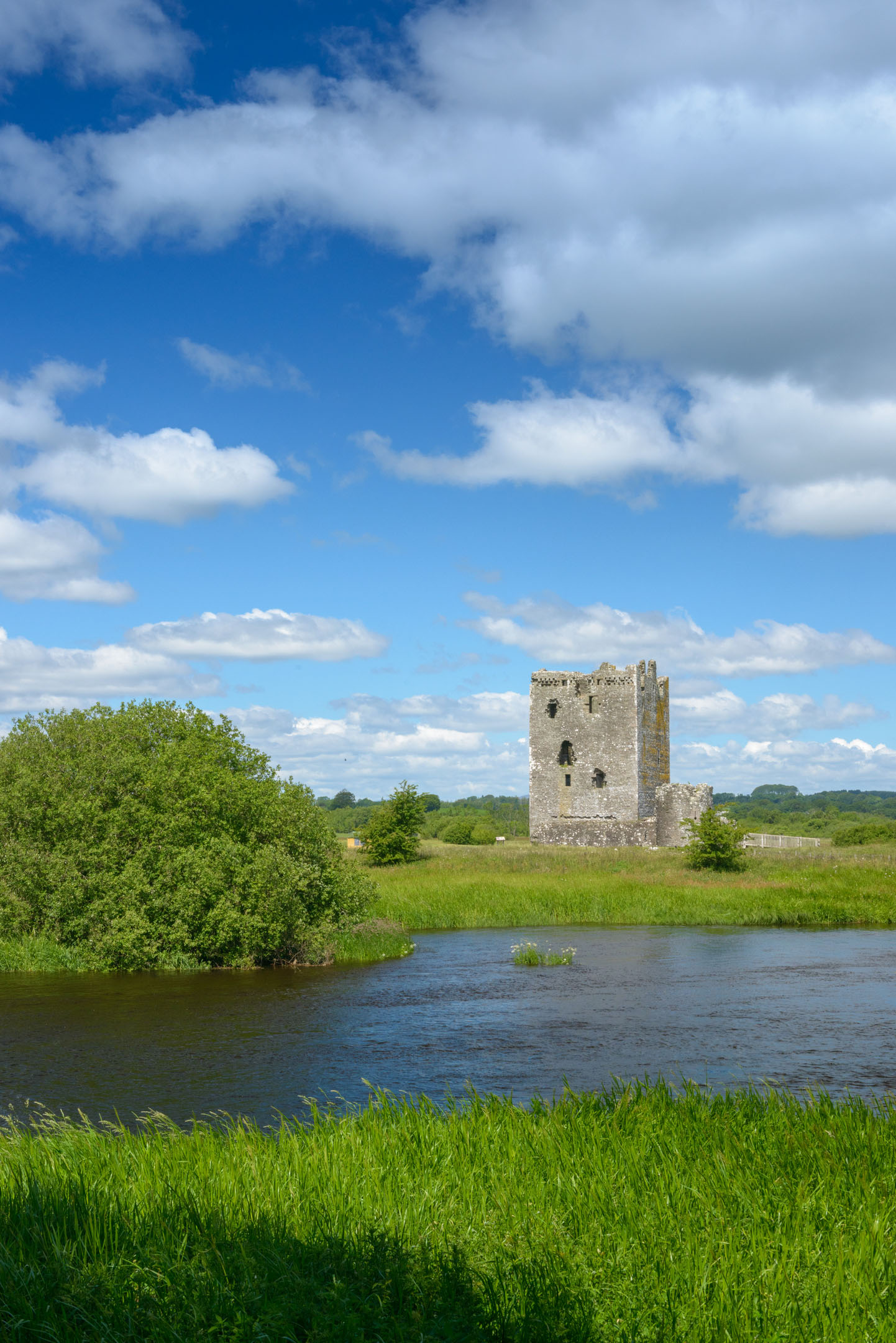Tall view of Threave Castle beside river with green grass and blue sky with clouds.