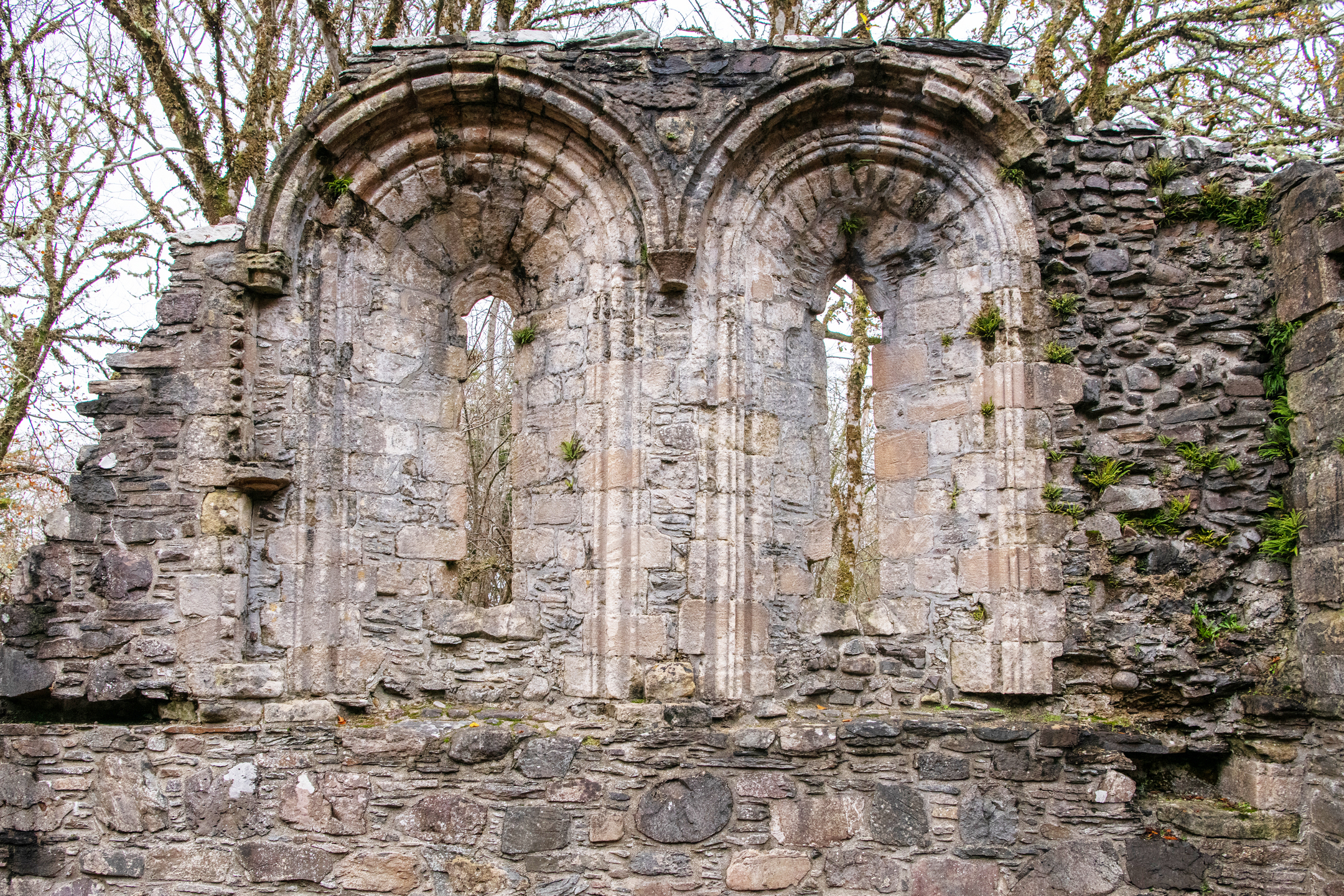 Ruined stone windows with tall, narrow arches, featuring weathered carvings and moss, set among surrounding trees.