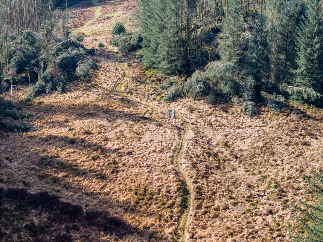 A narrow path through a grassy moor leading to two lonely standing stones. Forest surrounds the moor.