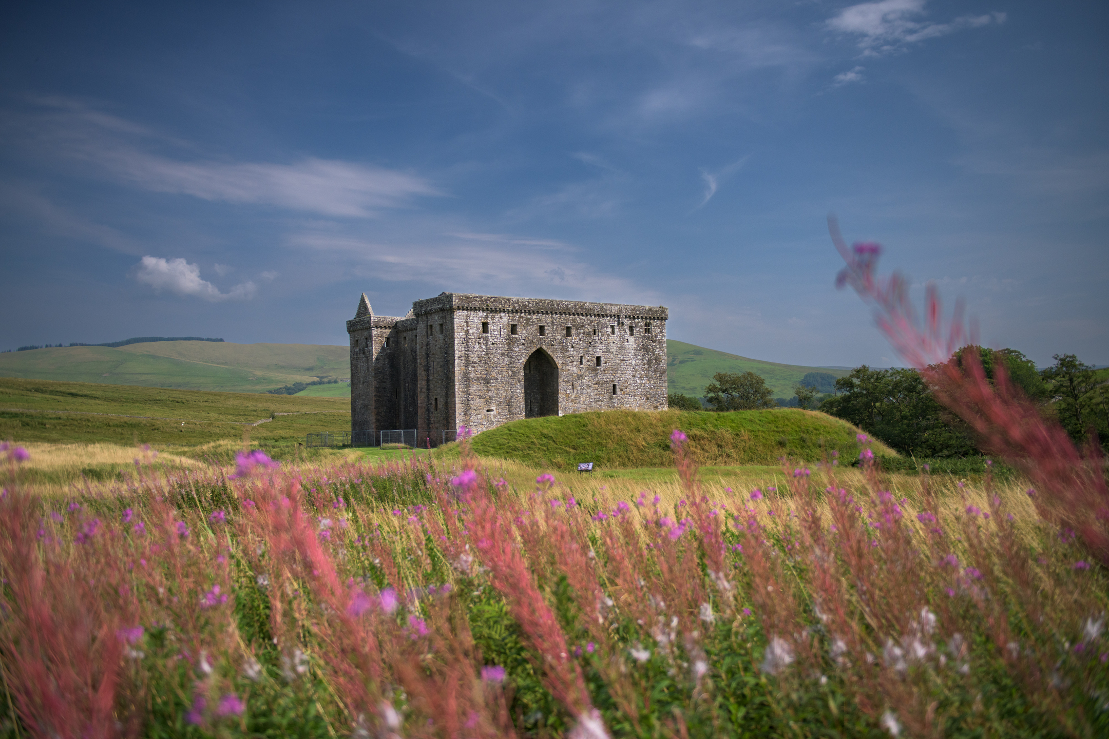 Hermitage Castle seen across a field of pink wildflowers with hills in the background.