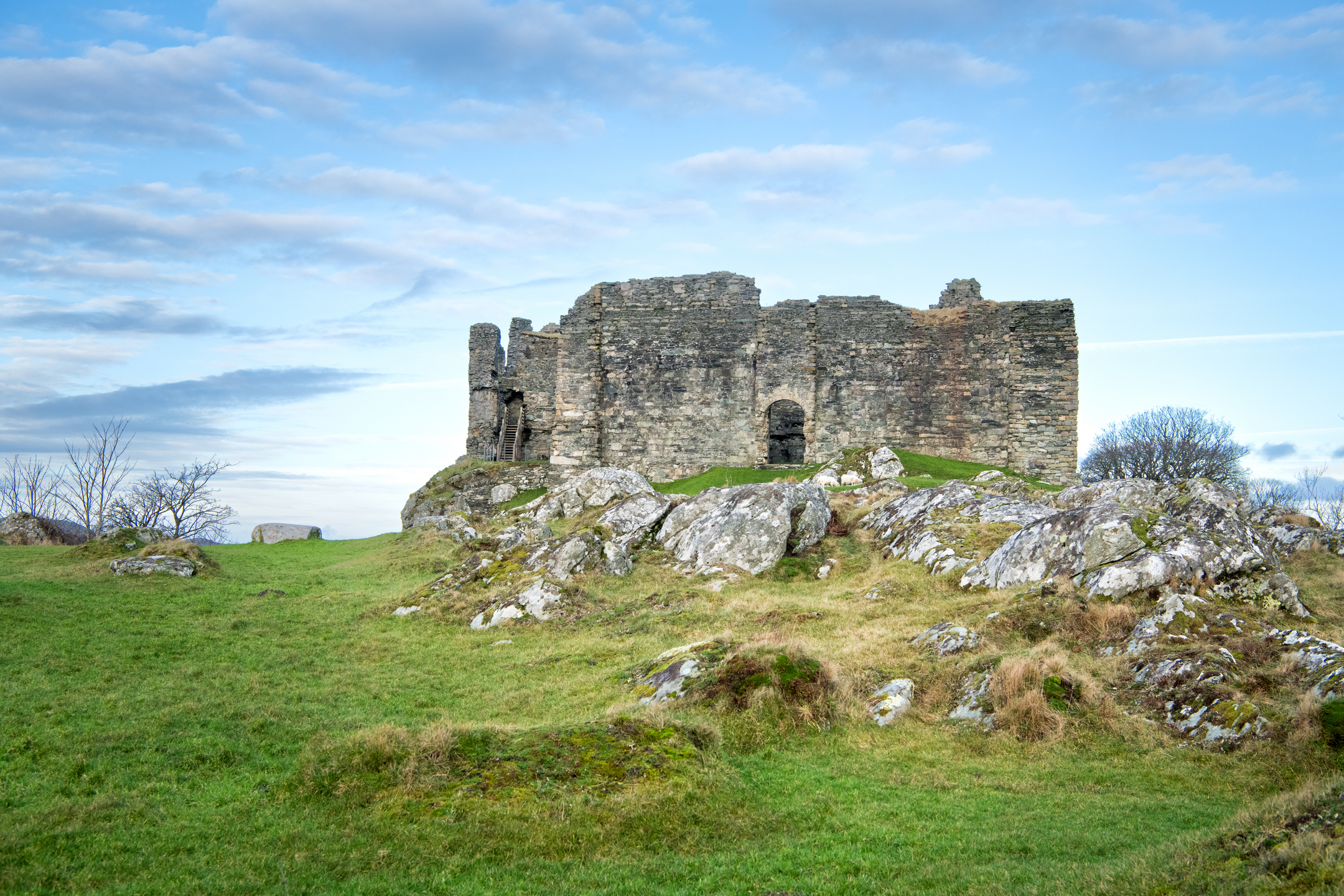 Grassy and rocky area with some bare trees and a castle 