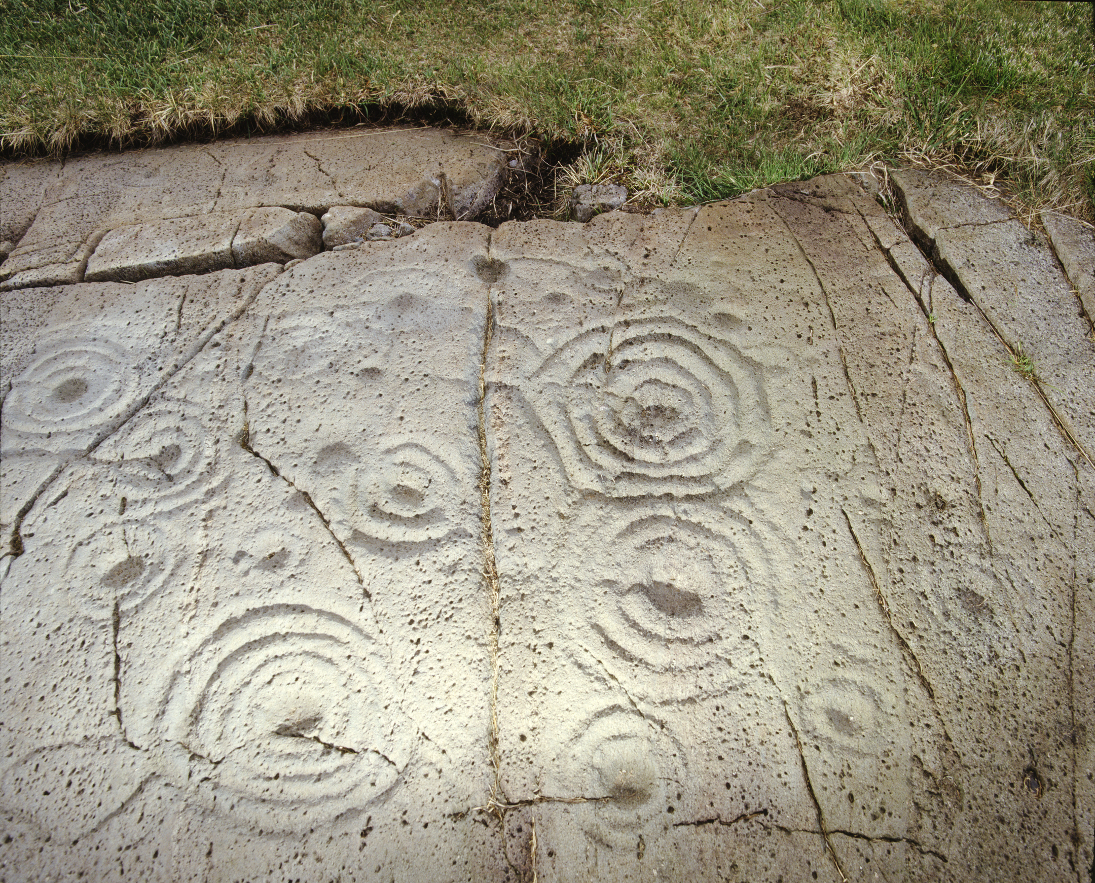 A close-up view of the Cairnbaan rock carvings showing several circular cup‑and‑ring designs etched into a weathered stone surface, with grass visible at the top edge.