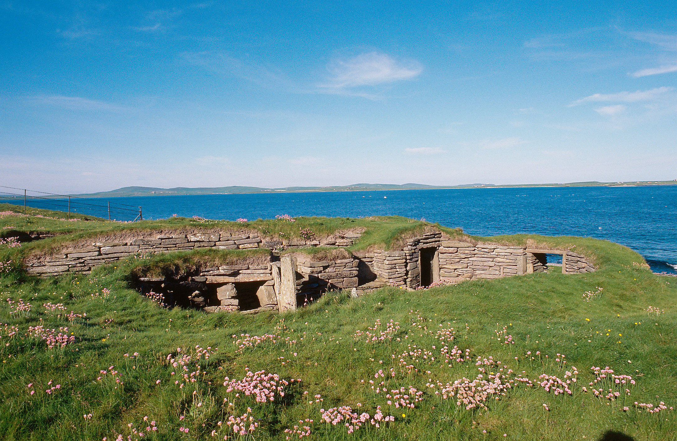 Wide view of the Knap of Howar’s stone structures set in grassy terrain with pink wildflowers, looking out toward a calm blue sea.