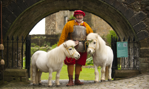 Man in medieval dress stands in a stone archway. Two small white ponies with unicorn horns stand on either side of him.