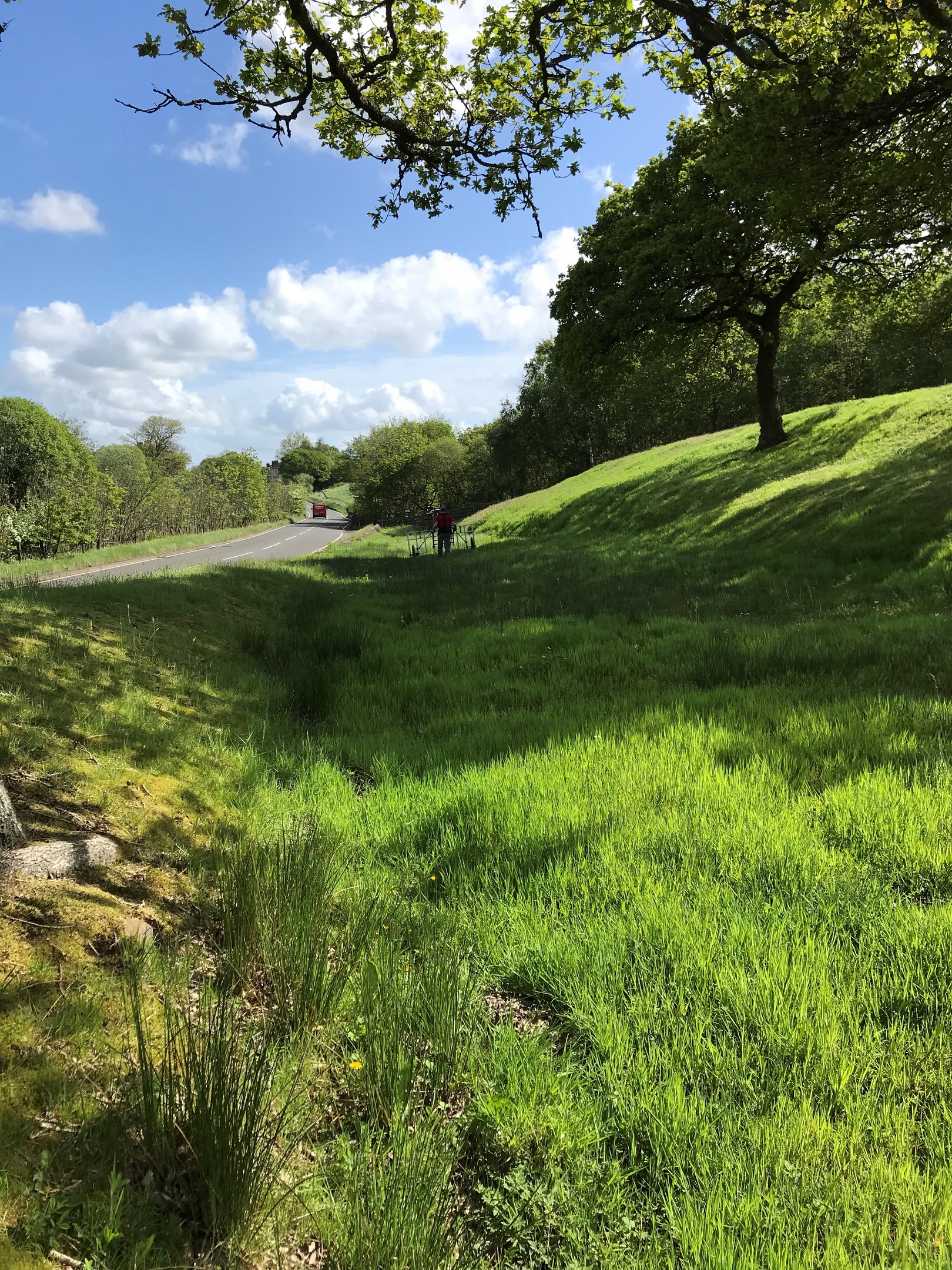 A grassy ditch and embankment at Seabegs Wood along the Antonine Wall, with bright green grass in the foreground. A sloping hill topped with a large tree is on the right, and a tarmac road runs along the left side of the image. 