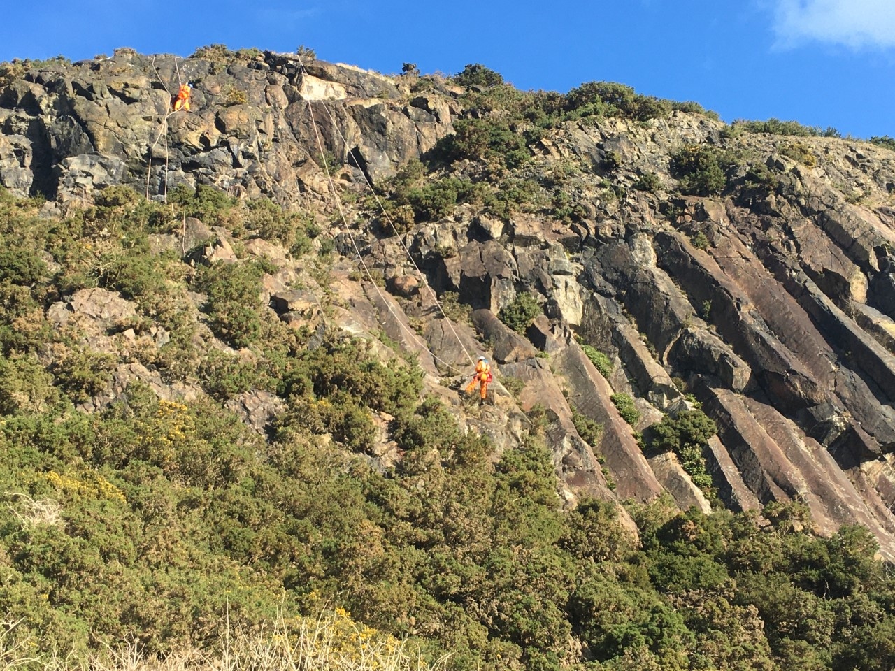 Steep basalt columns of Samson’s Ribs on Arthur’s Seat, with two workers in orange safety gear using ropes and ladders on the rock face, surrounded by scrub and gorse under a bright blue sky.