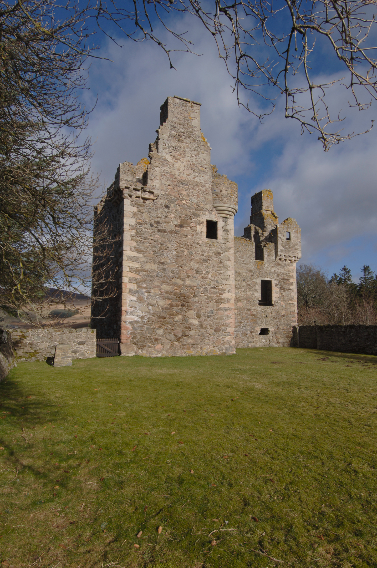 Side view of the castle’s exterior walls rising above a grassy lawn, framed by bare tree branches.
