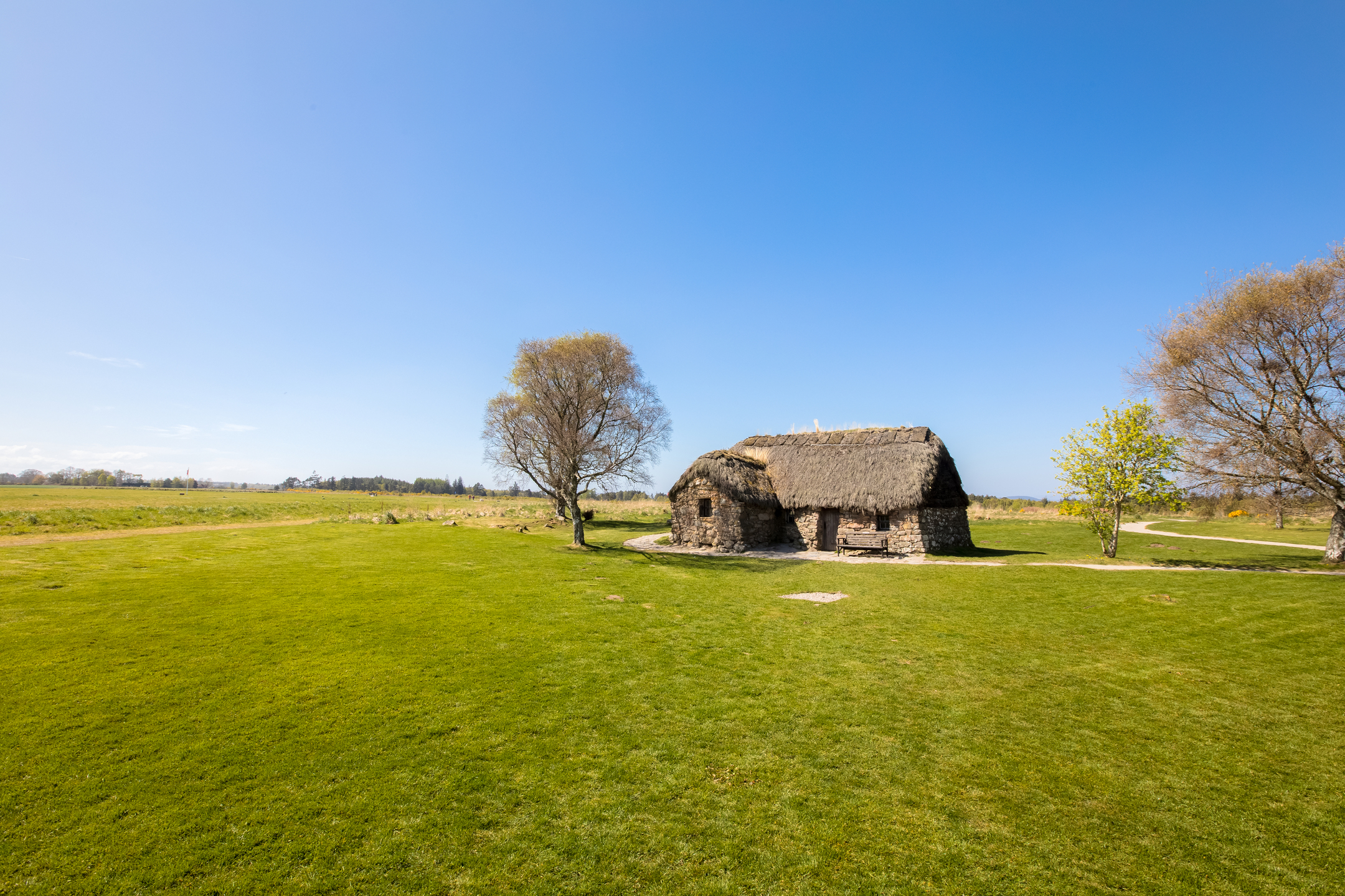 Thatched-roof stone farmhouse standing alone in an open green field, with a single tree nearby and wide rural landscape under a clear blue sky.