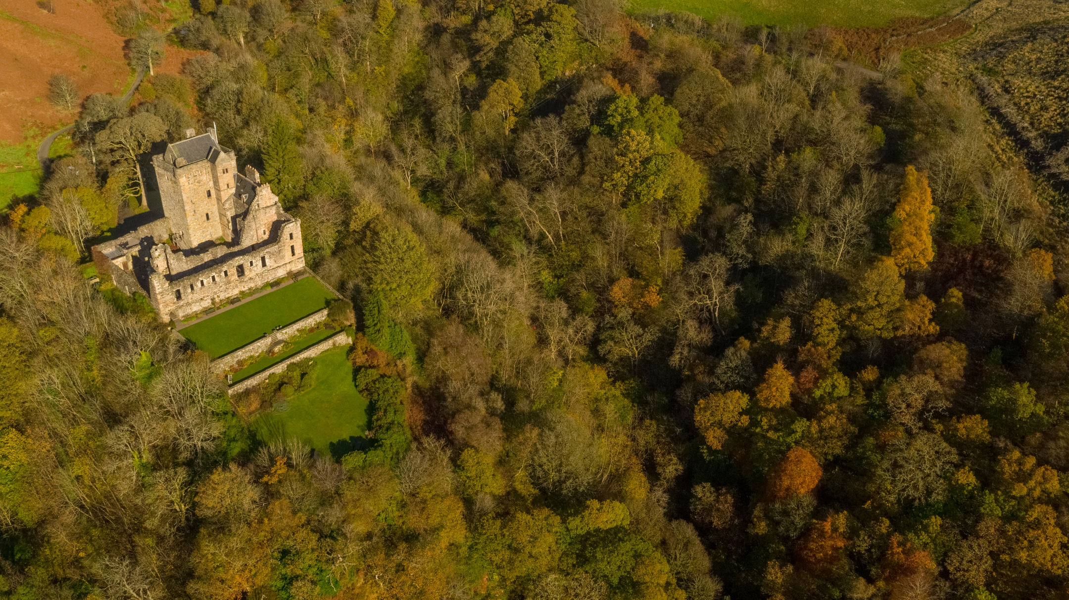 Bird's eye view of trees and Castle Campbell 