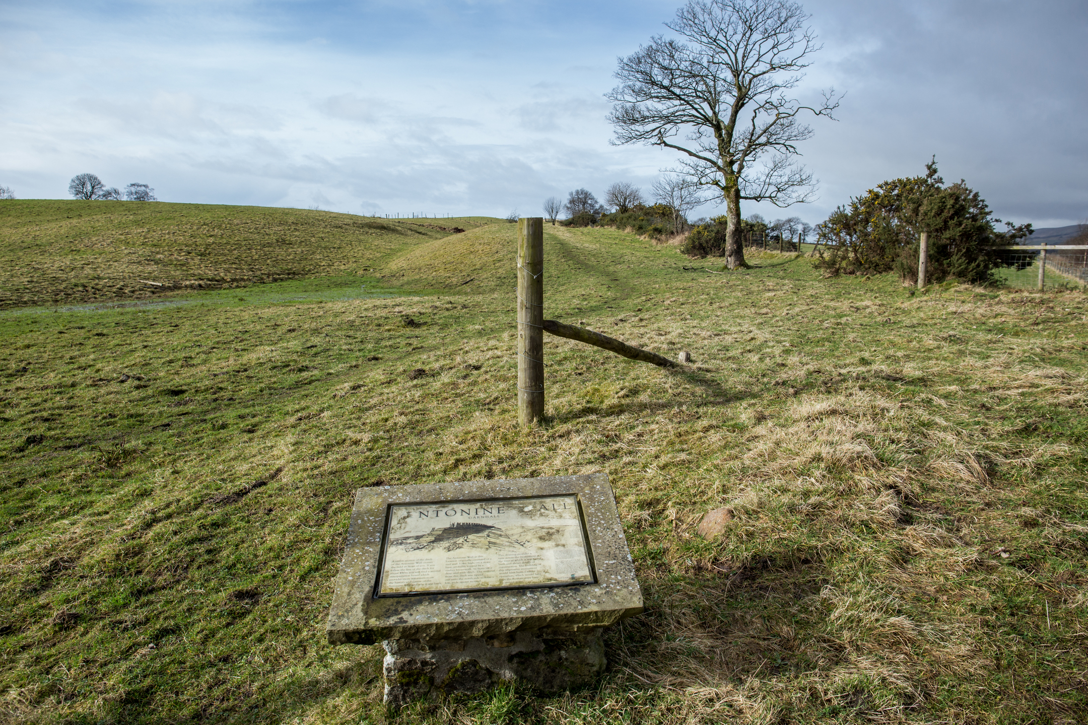 Stone information marker at Stonelaw on the Antonine Wall, set in a hilly grass landscape with a lone tree and fence posts.