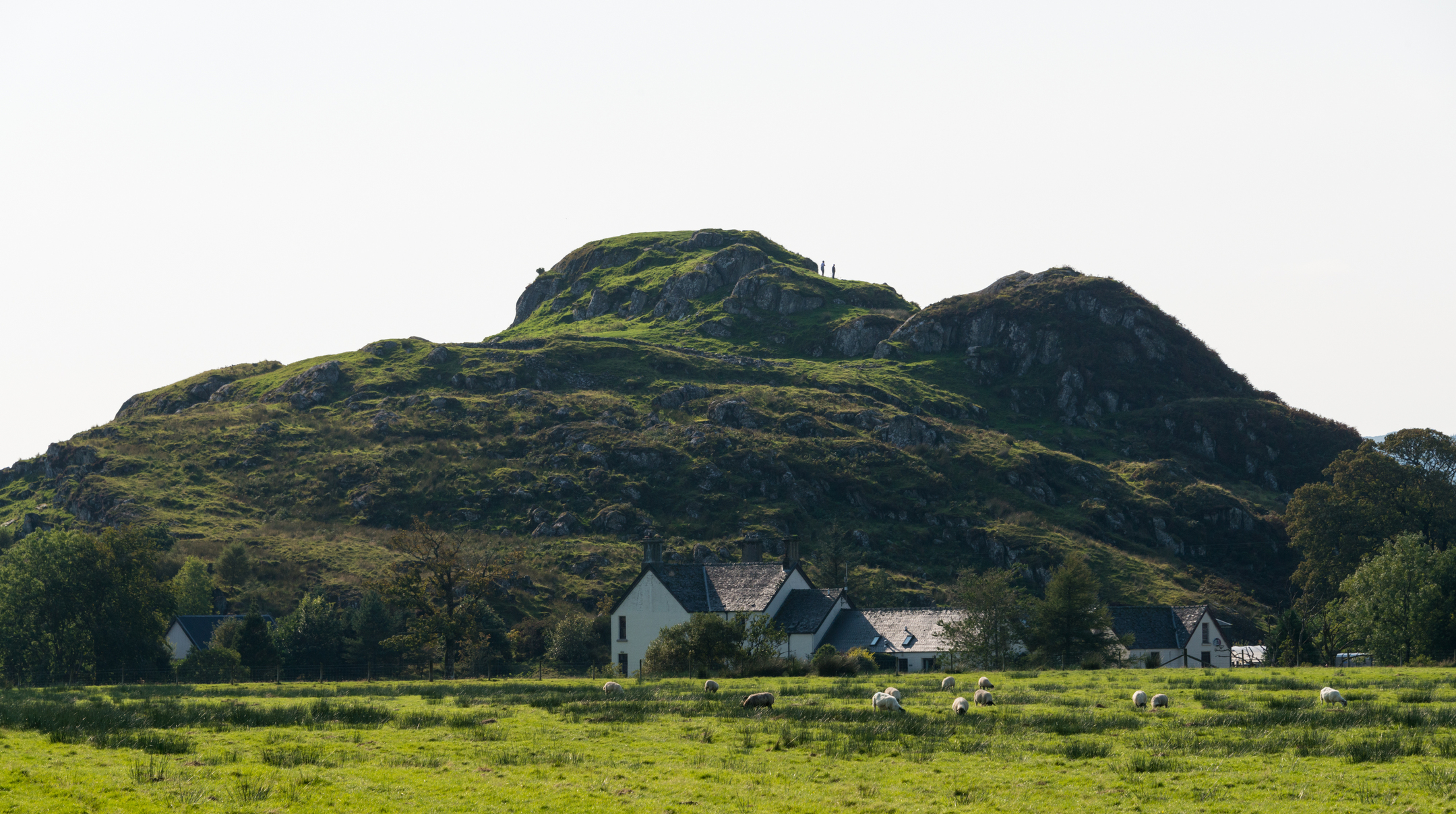 Dunadd Hill Fort, a rocky outcrop, rising above a grassy field with a cluster of white cottages at its base. There are grazing sheep in the foreground.