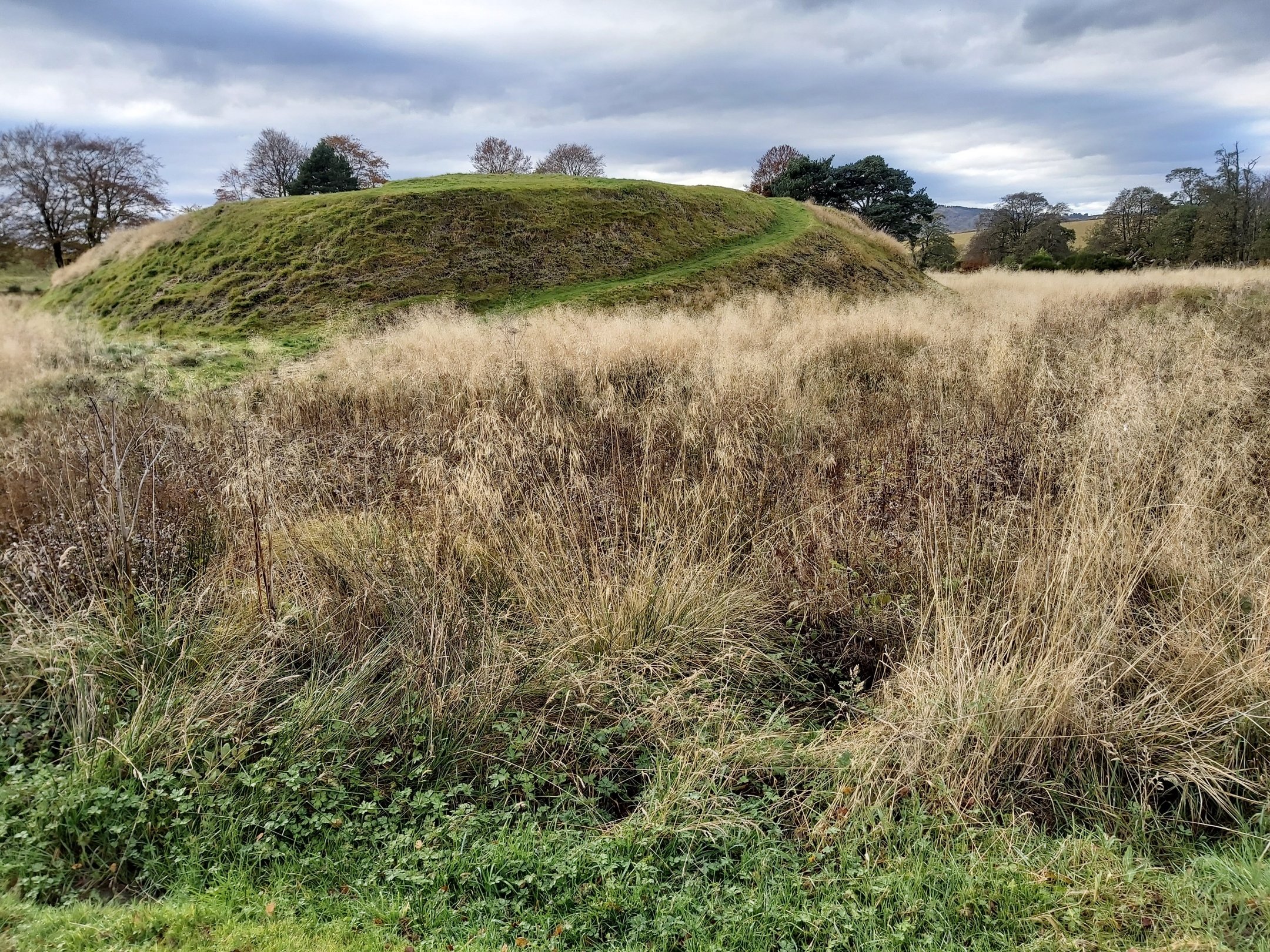 Lumphanan earthwork mound partially covered with heather, surrounded by tall dry grass and trees under a cloudy sky.