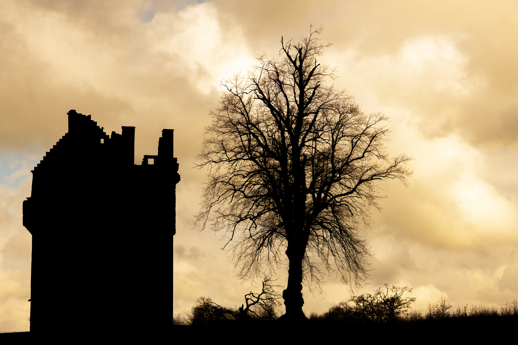 Silhouette of a building and a tree, with an orange-tinged cloudy sky behind