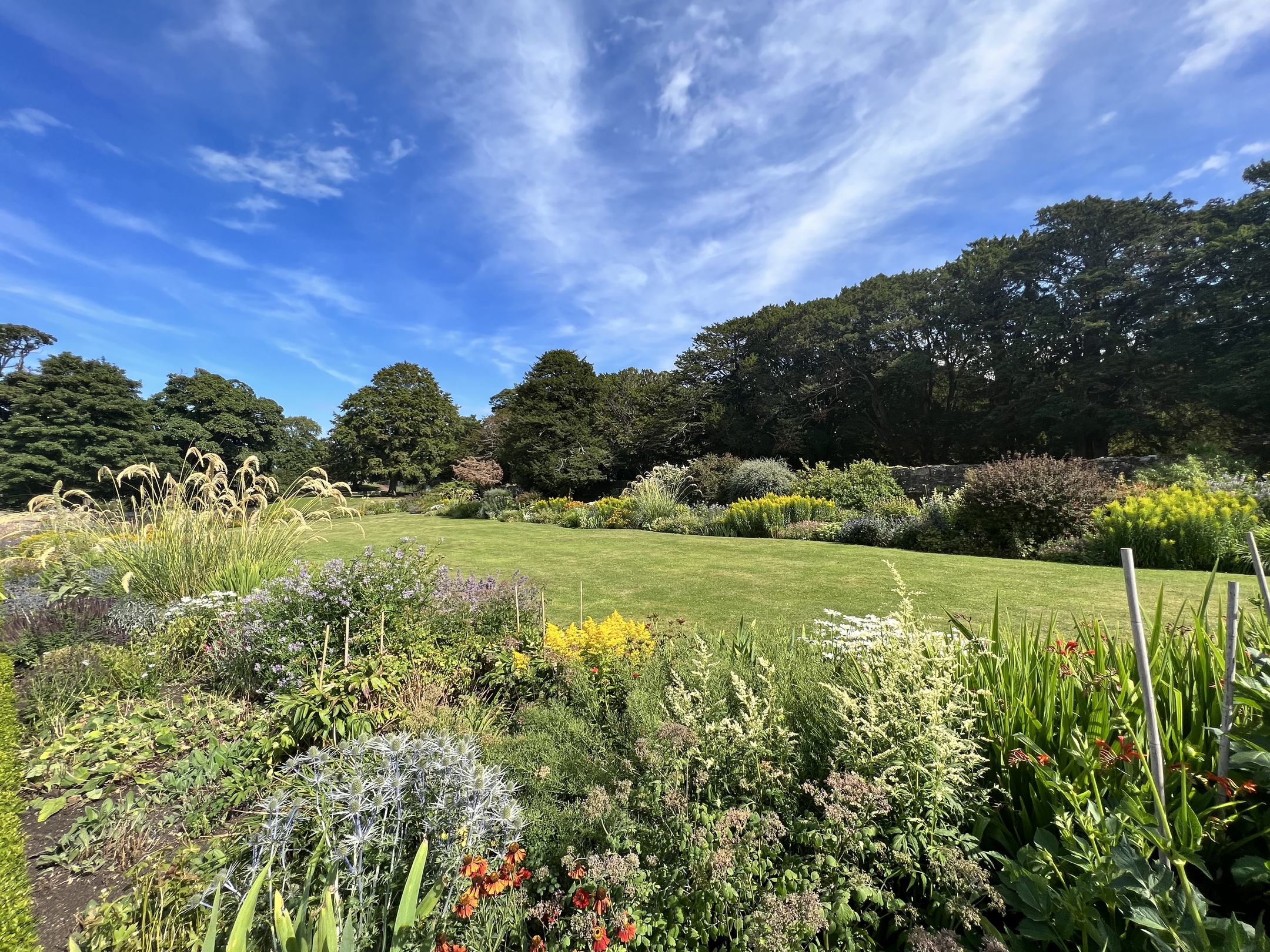 View of garden area with a well-kept lawn in the middle and a colourful range of plants on either side