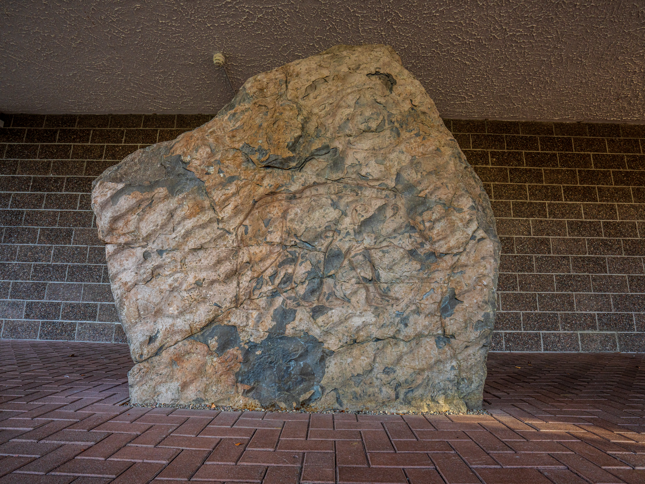 Close frontal view of the Knocknagael Boar Stone, highlighting its textured surface and faint carvings. The stone rests on a brick floor with a dark brick wall behind.
