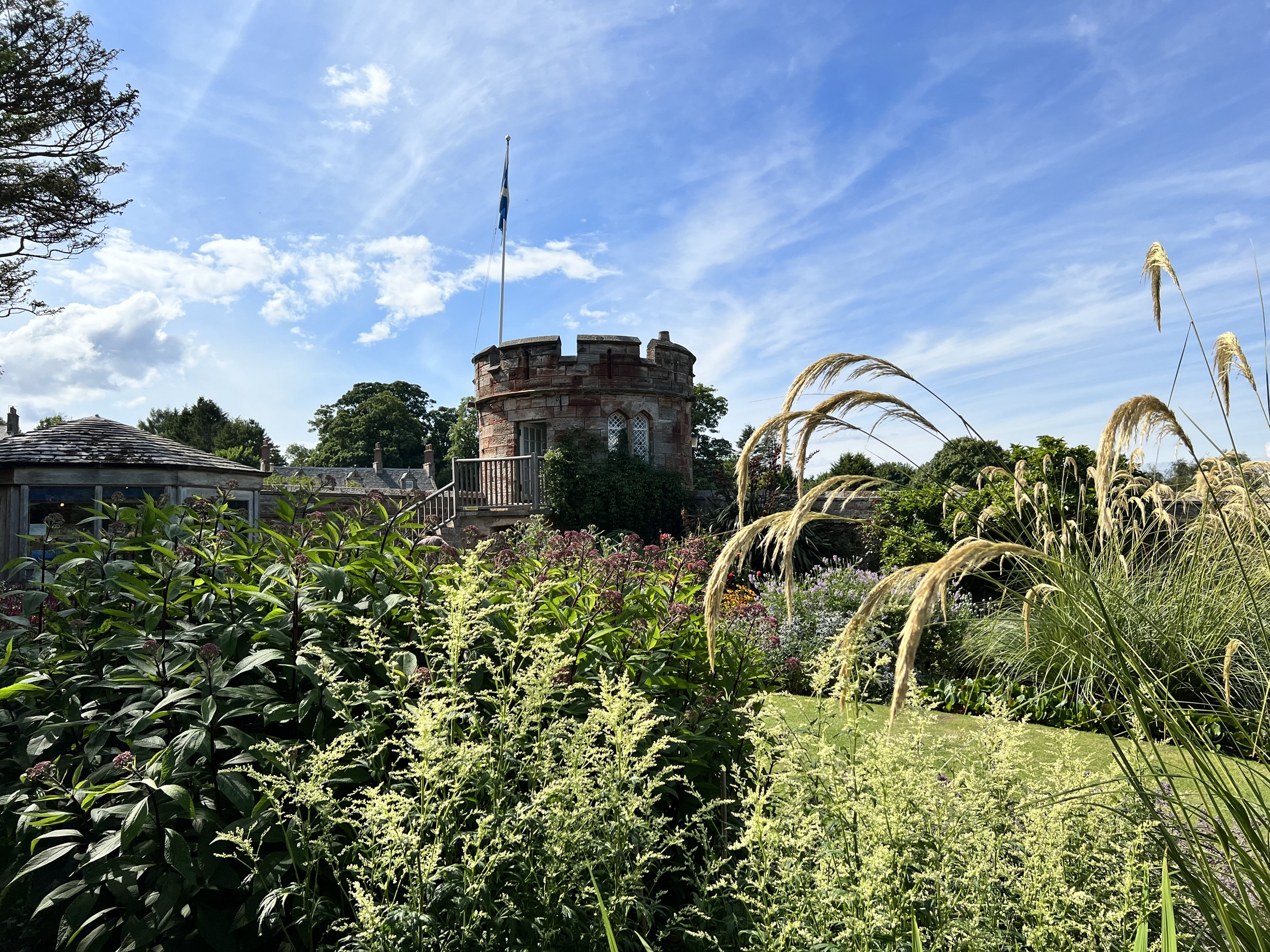 Garden area with lots of different plants and a small castle tower in the background 