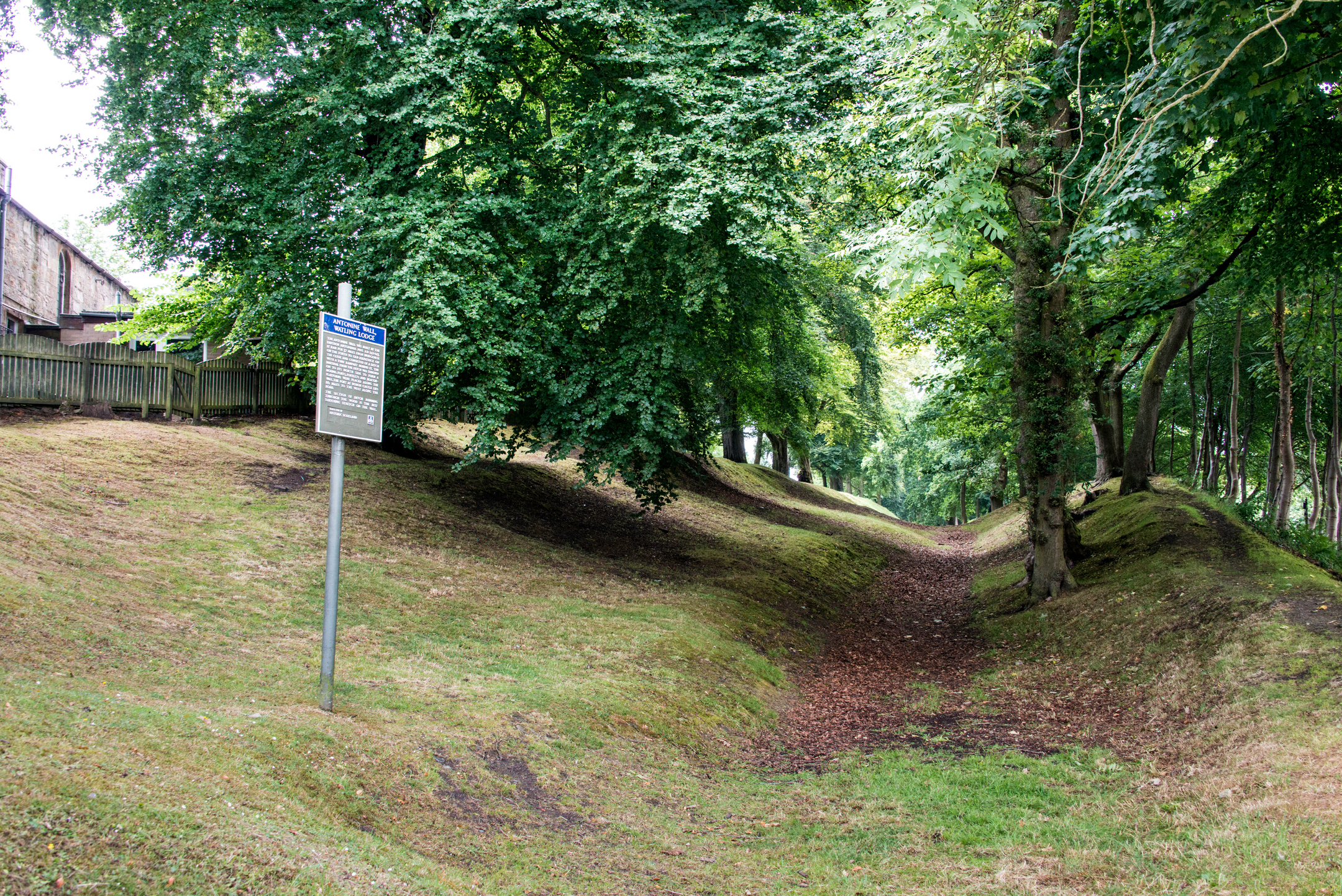 Antonine Wall ditch at Watling Lodge with a historic Scotland sign among trees