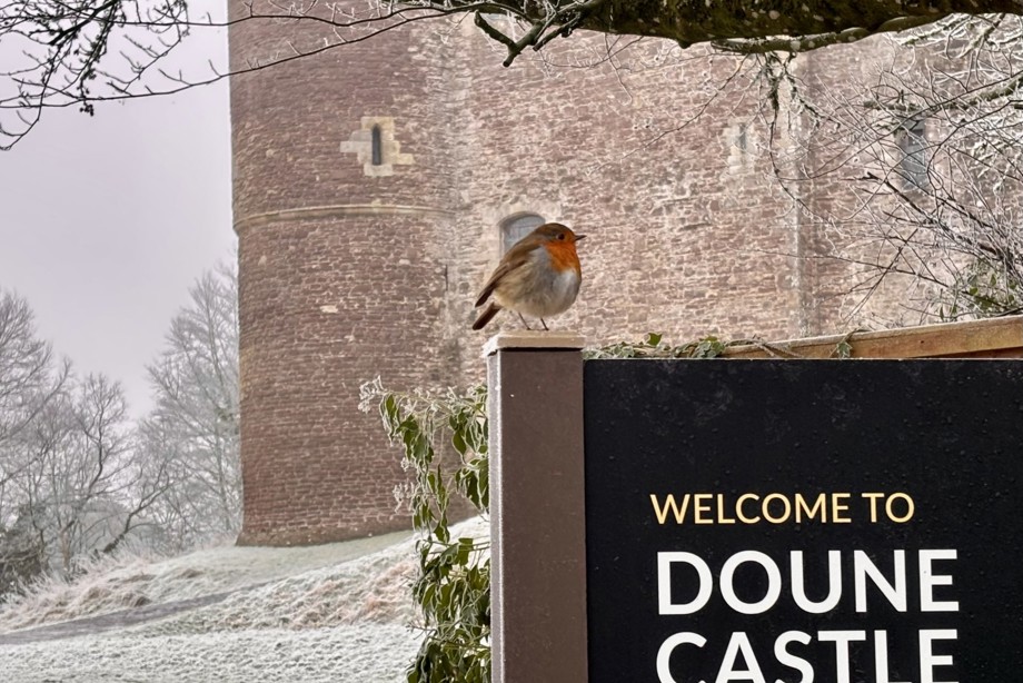 A little robin sits on the Doune Castle welcome sign, with the castle in the background all in a icy haze. 