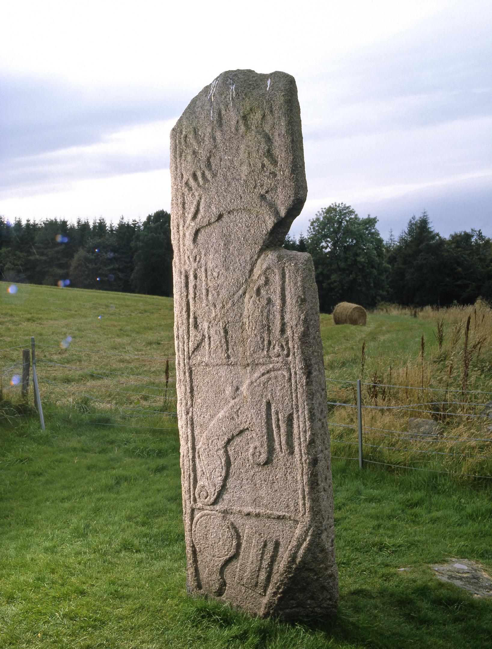 The Pictish Maiden Stone standing in a grassy field, displaying weathered carvings against an overcast sky.