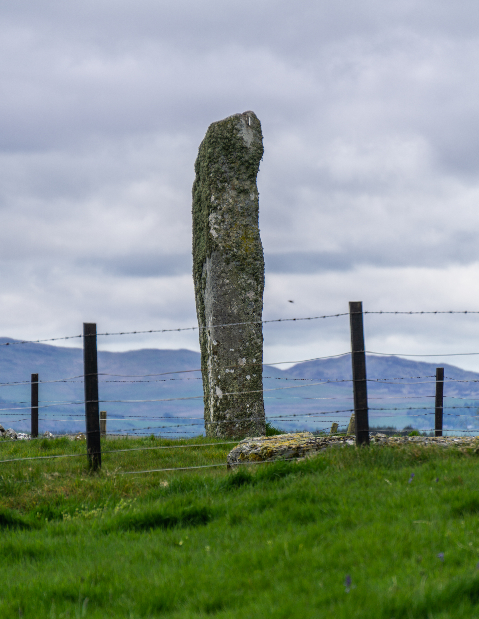 Close-up view of the single standing stone at Drumtroddan, covered in lichen, with hills and farmland in the background.