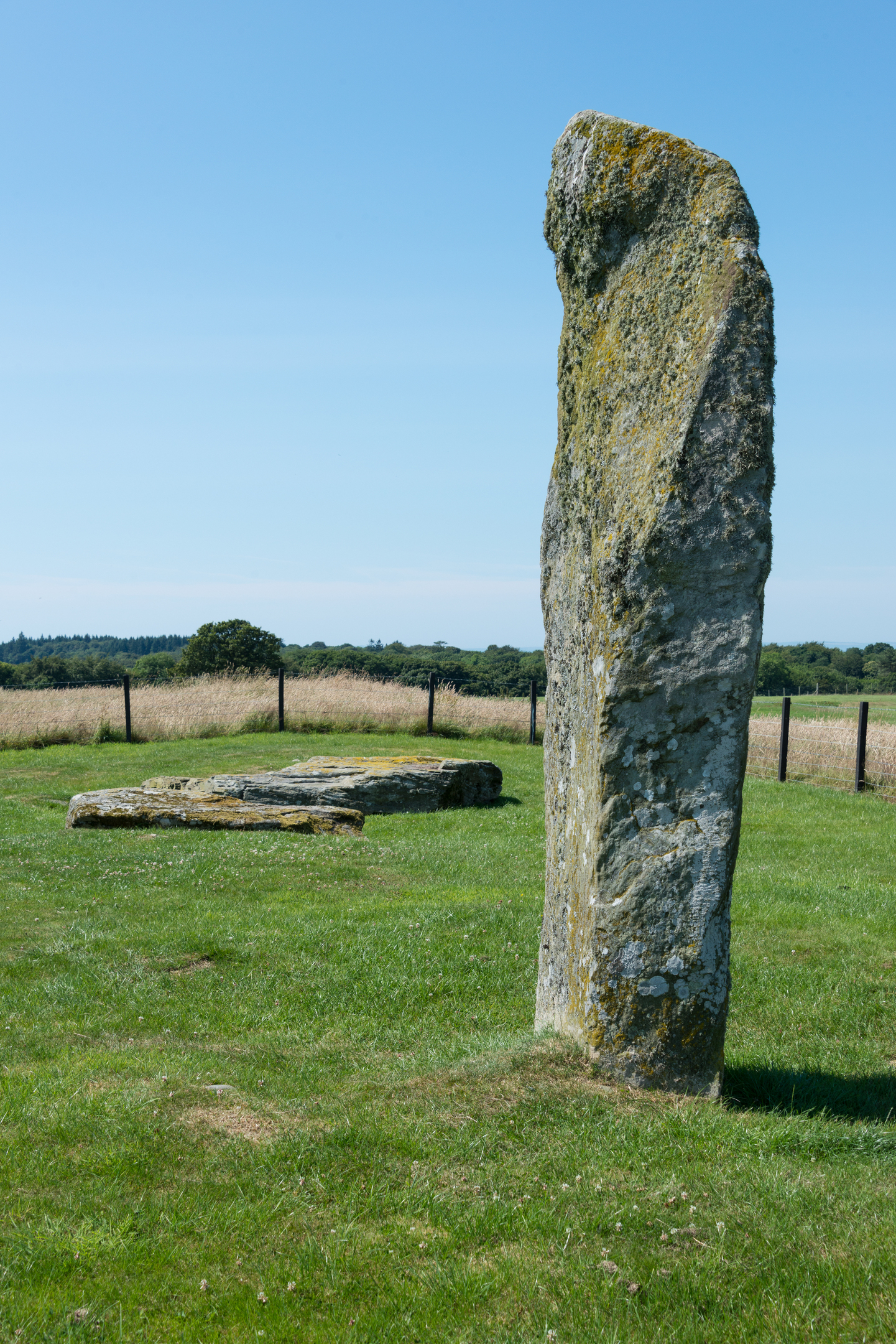Side view of the tall standing stone at Drumtroddan with two fallen stones behind it on a grassy hilltop
