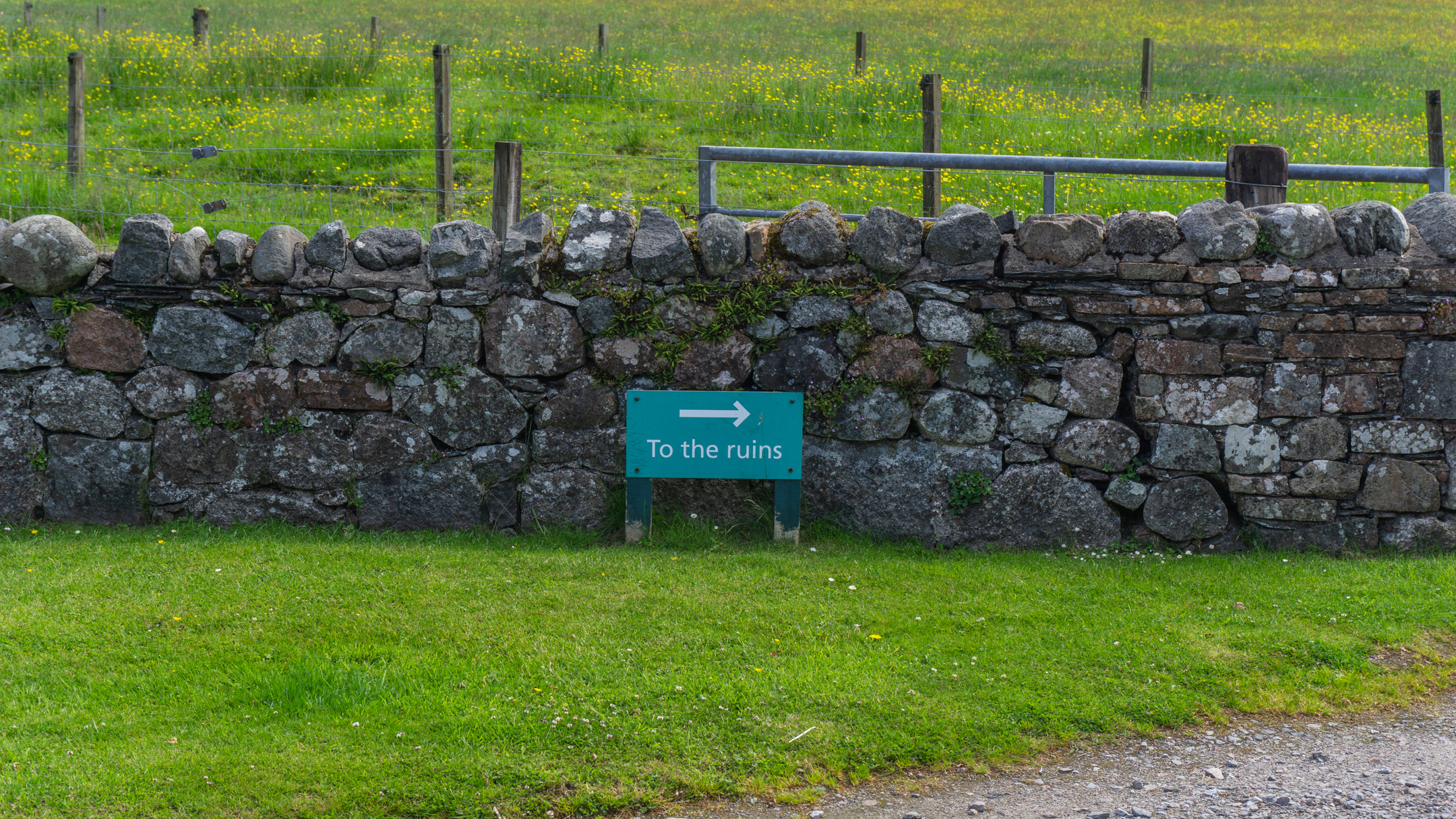 A turquoise directional sign reading “To the ruins,” with a white arrow, positioned against a low stone wall bordering a grassy field dotted with yellow wildflowers.