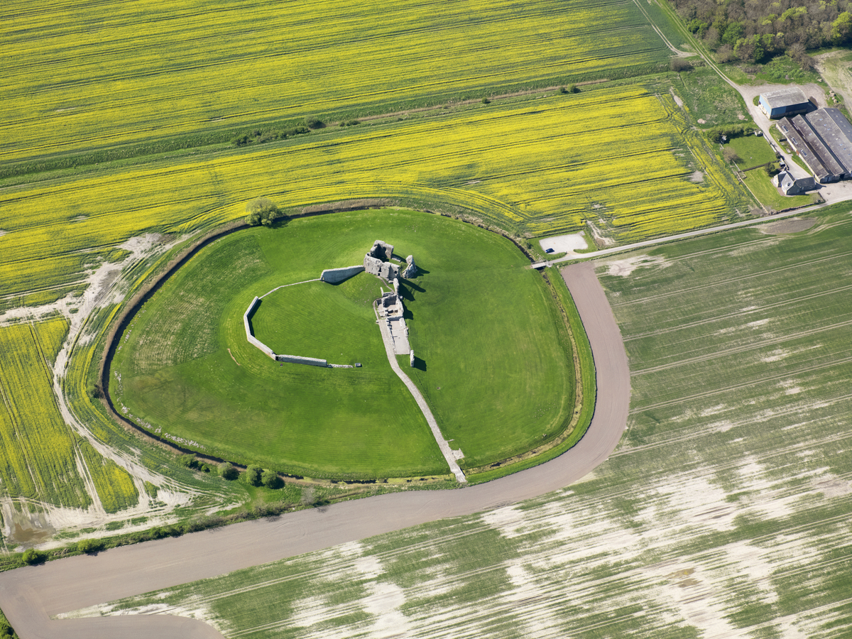 A high-elevation aerial view of Duffus Castle capturing the full outline of the large oval motte and its surrounding ditch set within expansive agricultural fields. The grassy mound in the centre holds the partially collapsed stone hall‑house, with sections of wall extending outward from it. A long straight pathway leads from the castle to the edge of the enclosure. The surrounding fields show bold stripes of yellow crops and paler ploughed areas, with farm buildings visible at the top right.
