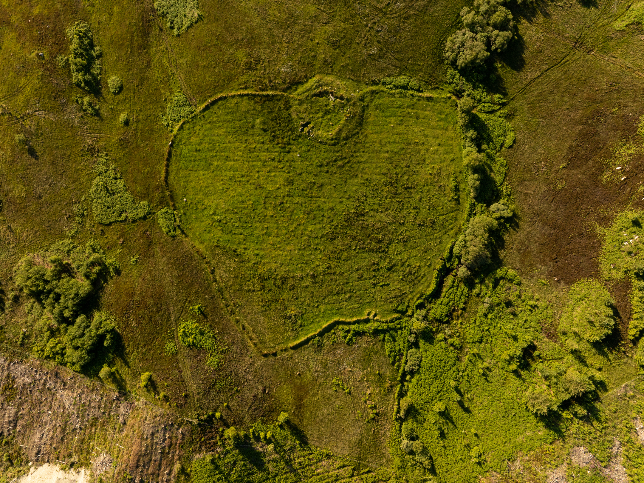 Aerial view of a grassy landscape with a roughly oval-shaped enclosure outlined by low earthworks. The surrounding area is covered in green vegetation and patches of brown moorland.
