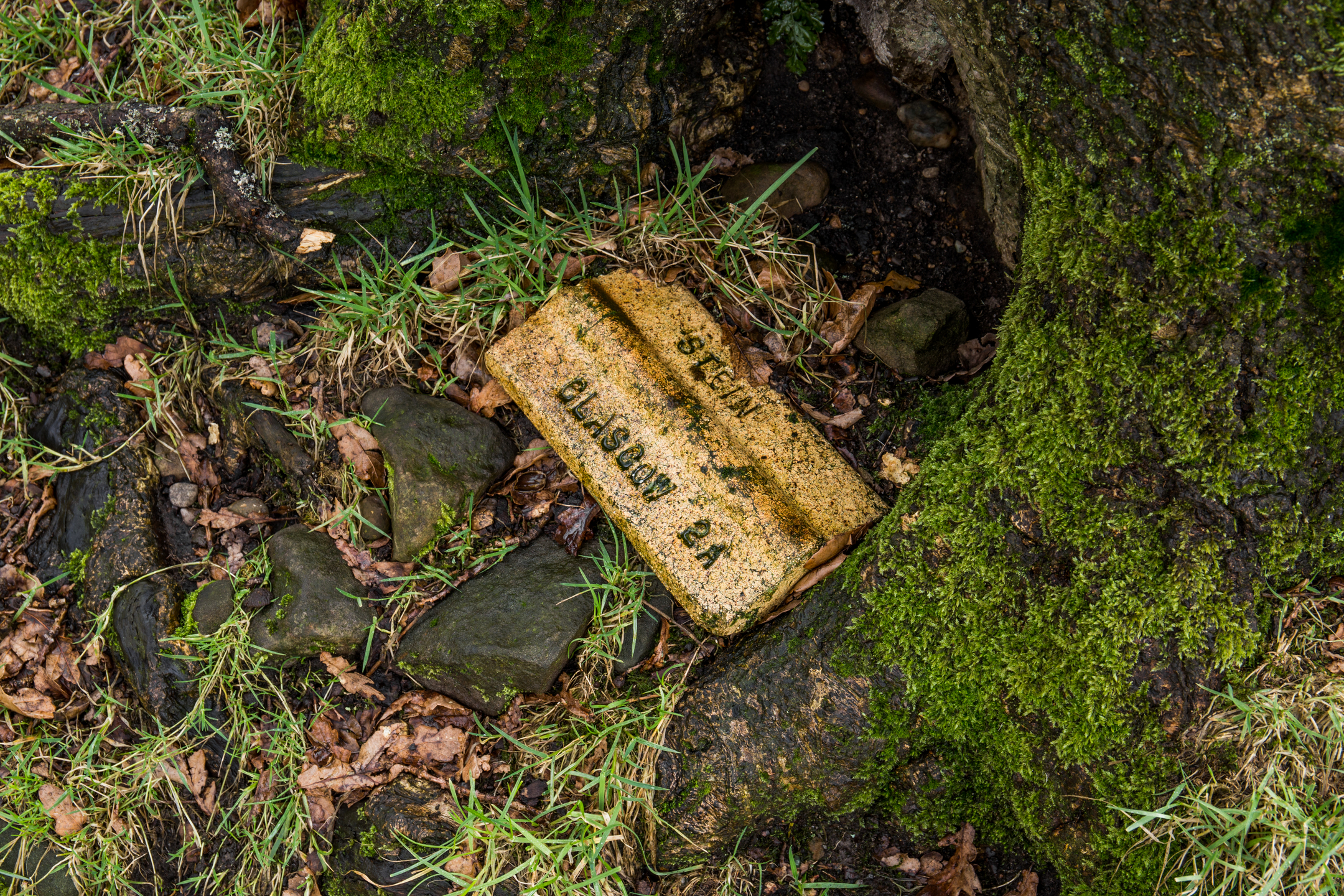 Close up of a marker stone at Castlecary Hill Fort