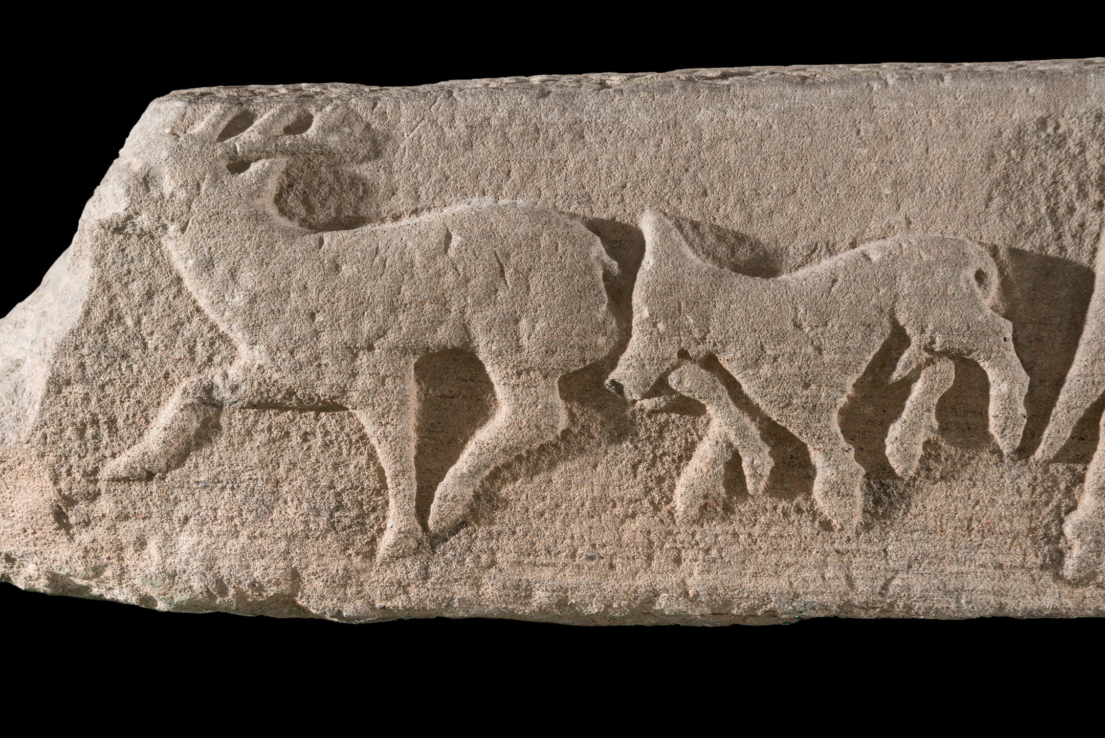Sculptured stone with creatures, probably deer