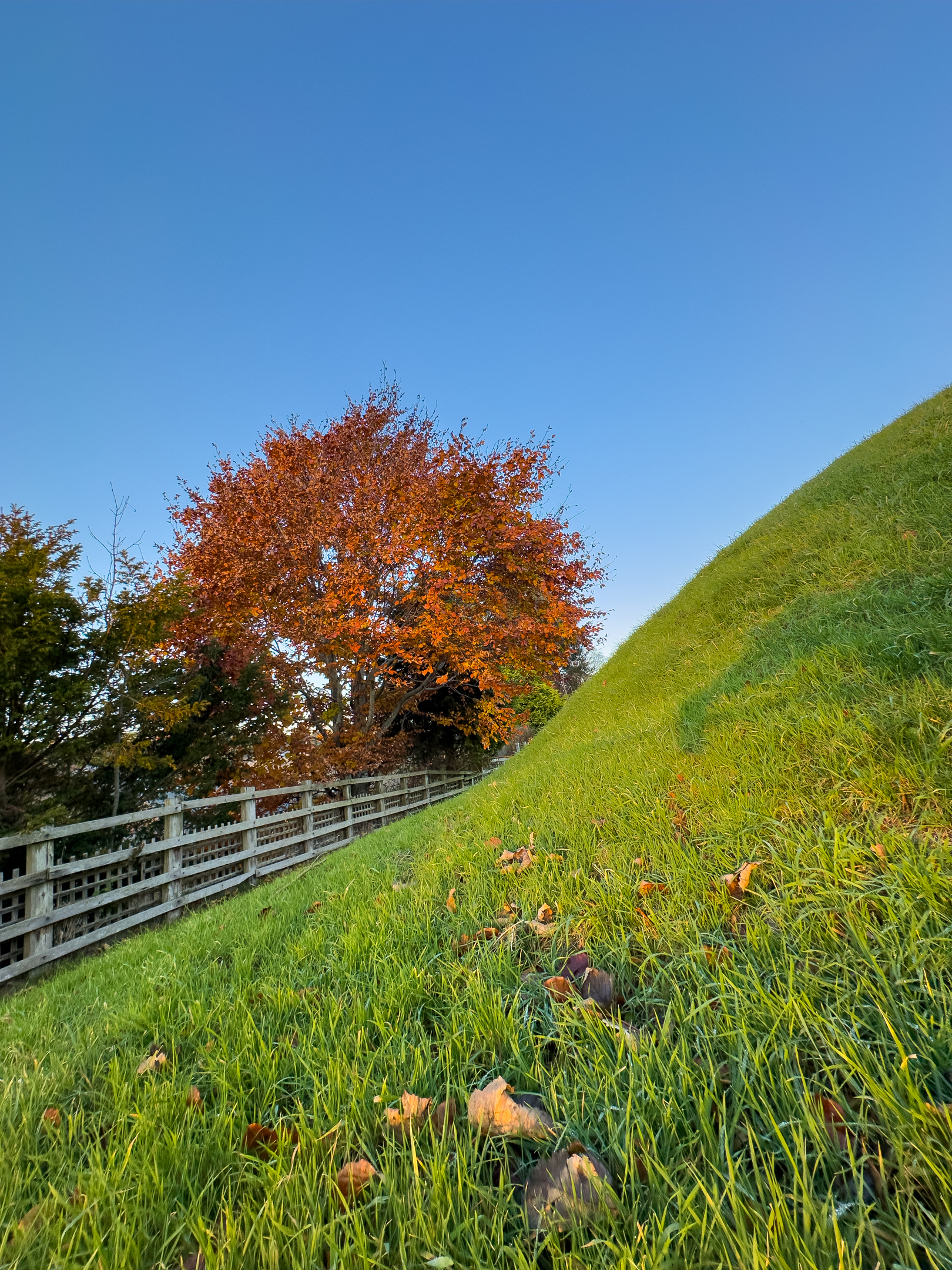 A close-up photo of a grassy mound. The camera angle shows how steep the mound is. 