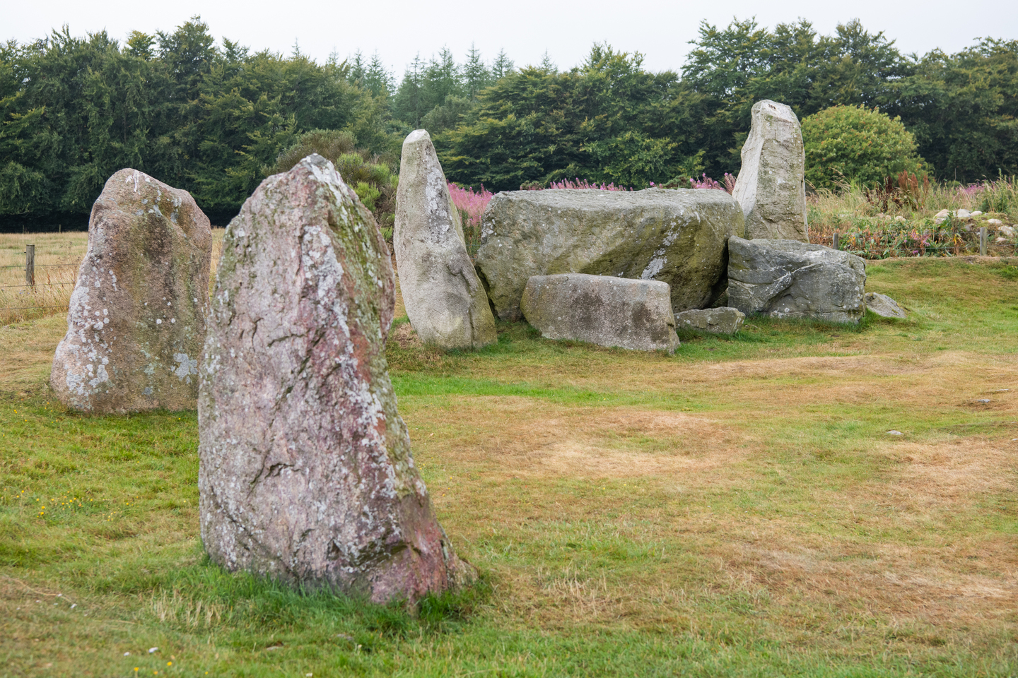 A collection of grey stones sit on the grass, in a curved shape. There are two individual stones, and then a collection of them.