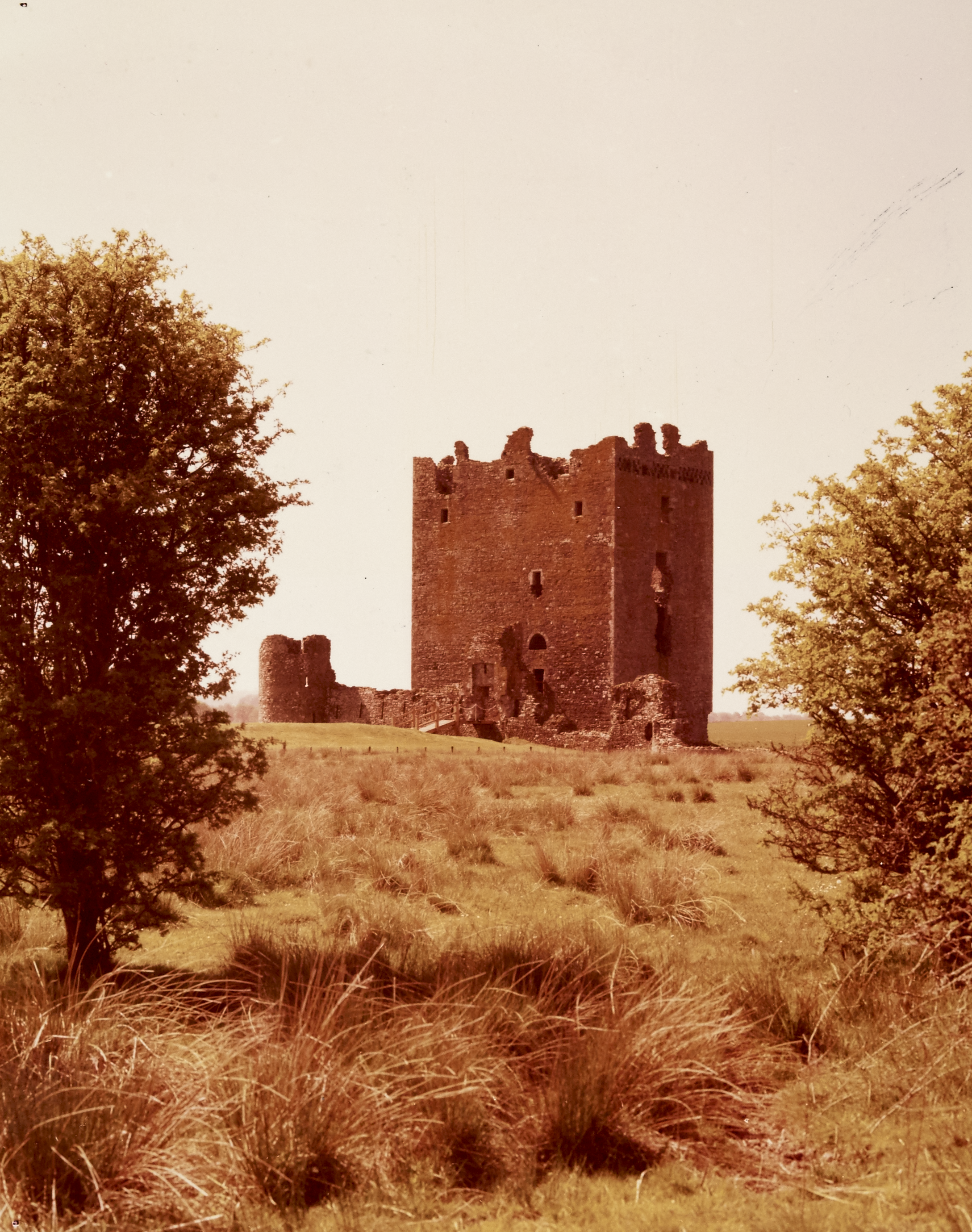 Warm toned photo of castle through trees