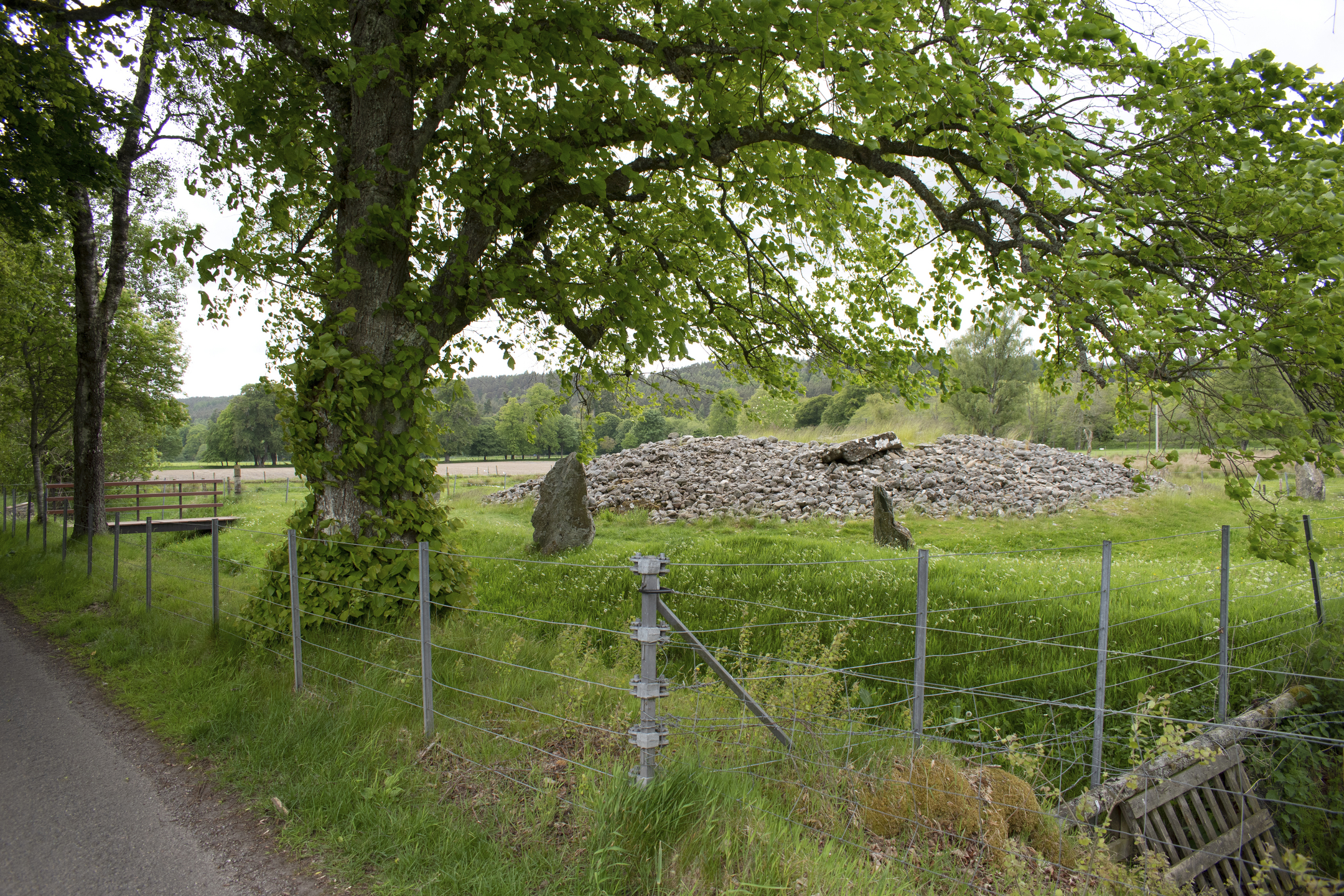 Distant view of the stone cairn partially obscured by a leafy tree and wire fencing, with standing stones visible around the mound in a green field.