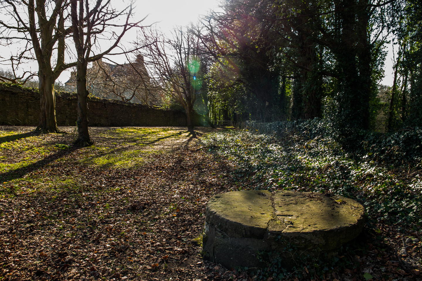 A large but short stone circle sits on the ground, with fallen leaves surrounding it. To the right of it are trees covered in ivy, and grass on the left. It is a sunny day.