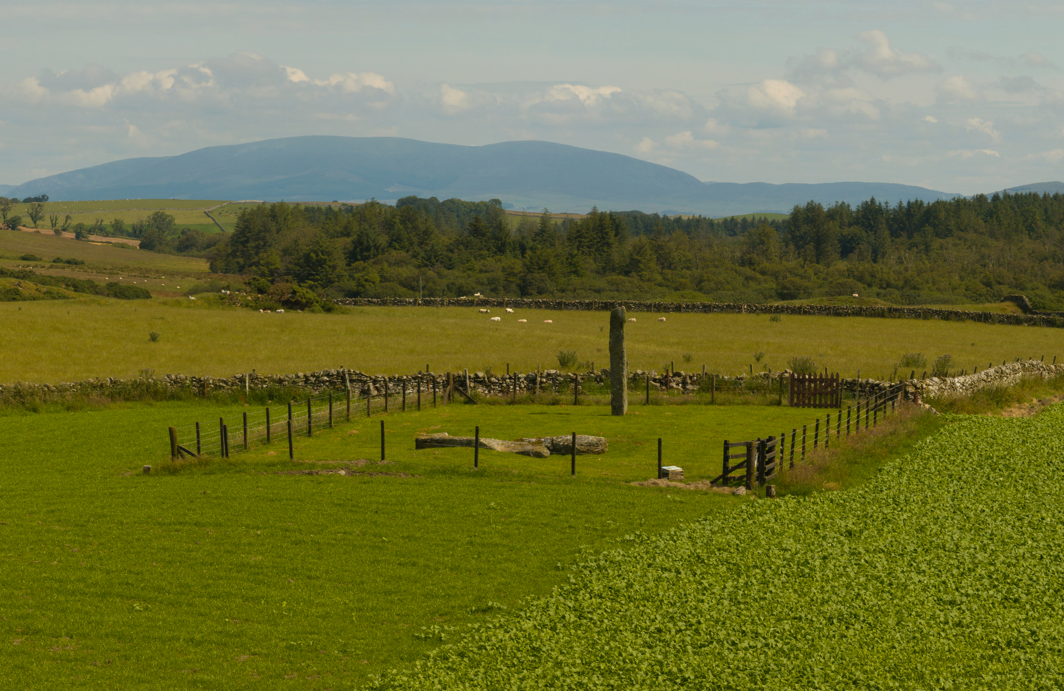 Distant landscape view of the Drumtroddan Standing Stones enclosure set among open fields with hills in the background