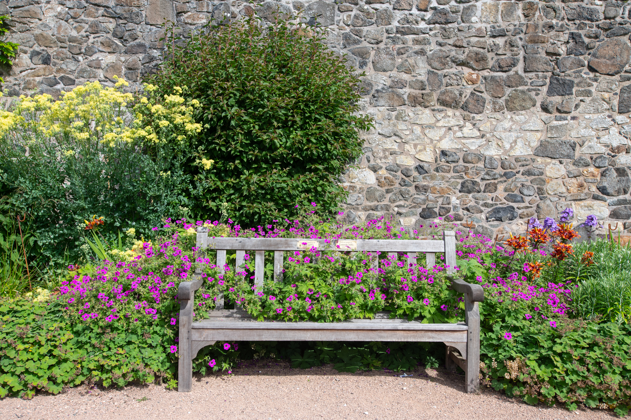A bench, covered in and surrounded by purple, yellow, red and green plants, in front of a historic stone wall