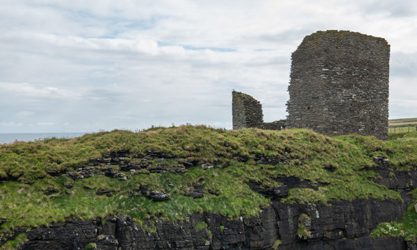 The ruins of a castle tower house surrounded by grass and plant life