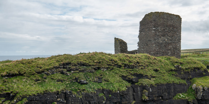 The ruins of a castle tower house surrounded by grass and plant life