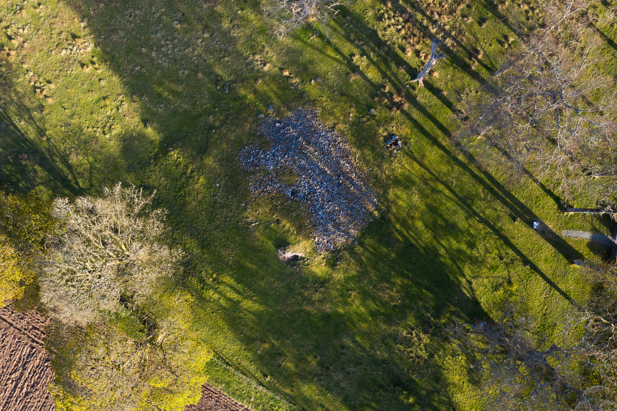 A full aerial view of the Dunchraigaig Cairn. The cairn is in the centre of the image with surrounding grass and trees around it. There is a weak winter sun causing shadows from the trees. 